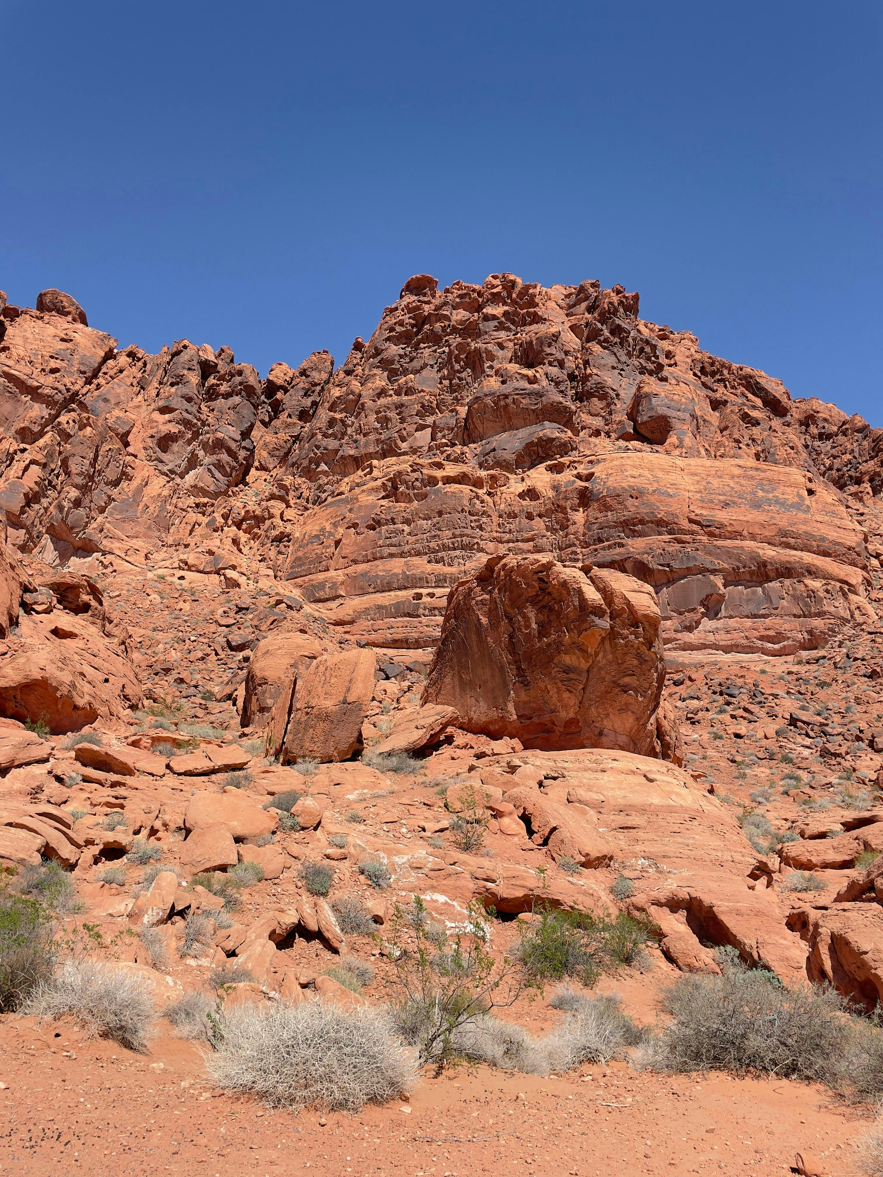 Photo by allenboguslavsky