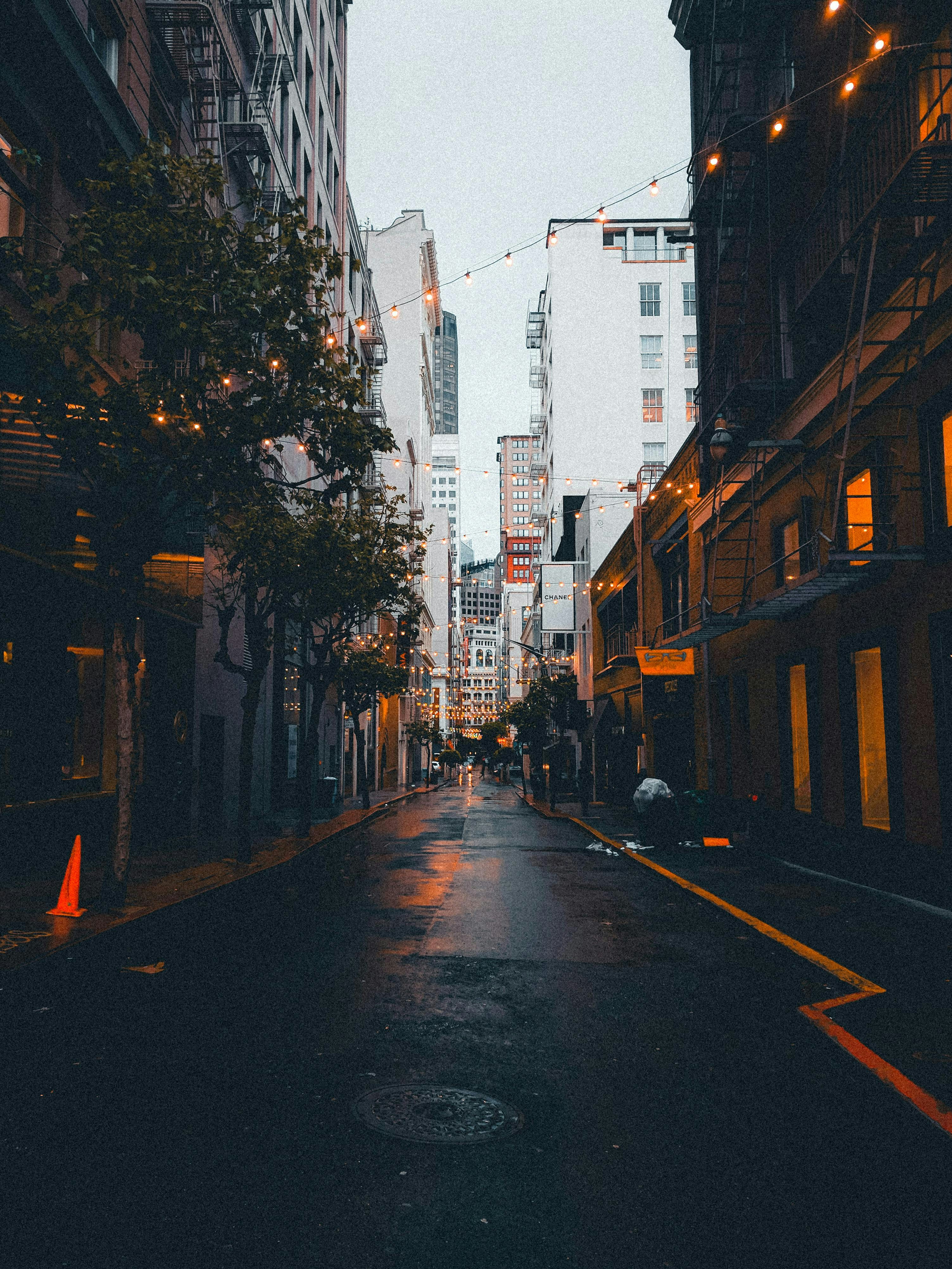 Photo by allenboguslavsky