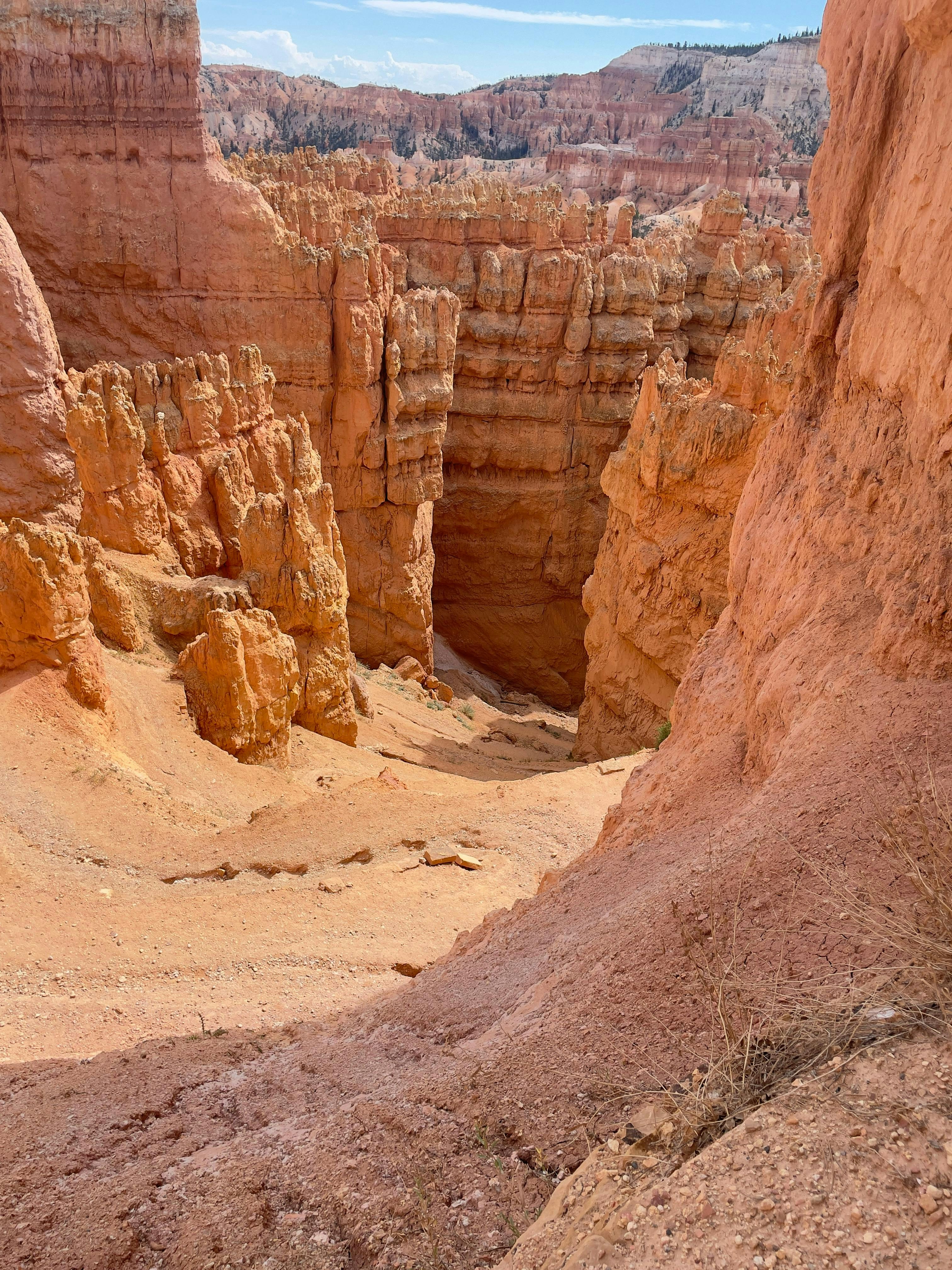 Photo by allenboguslavsky