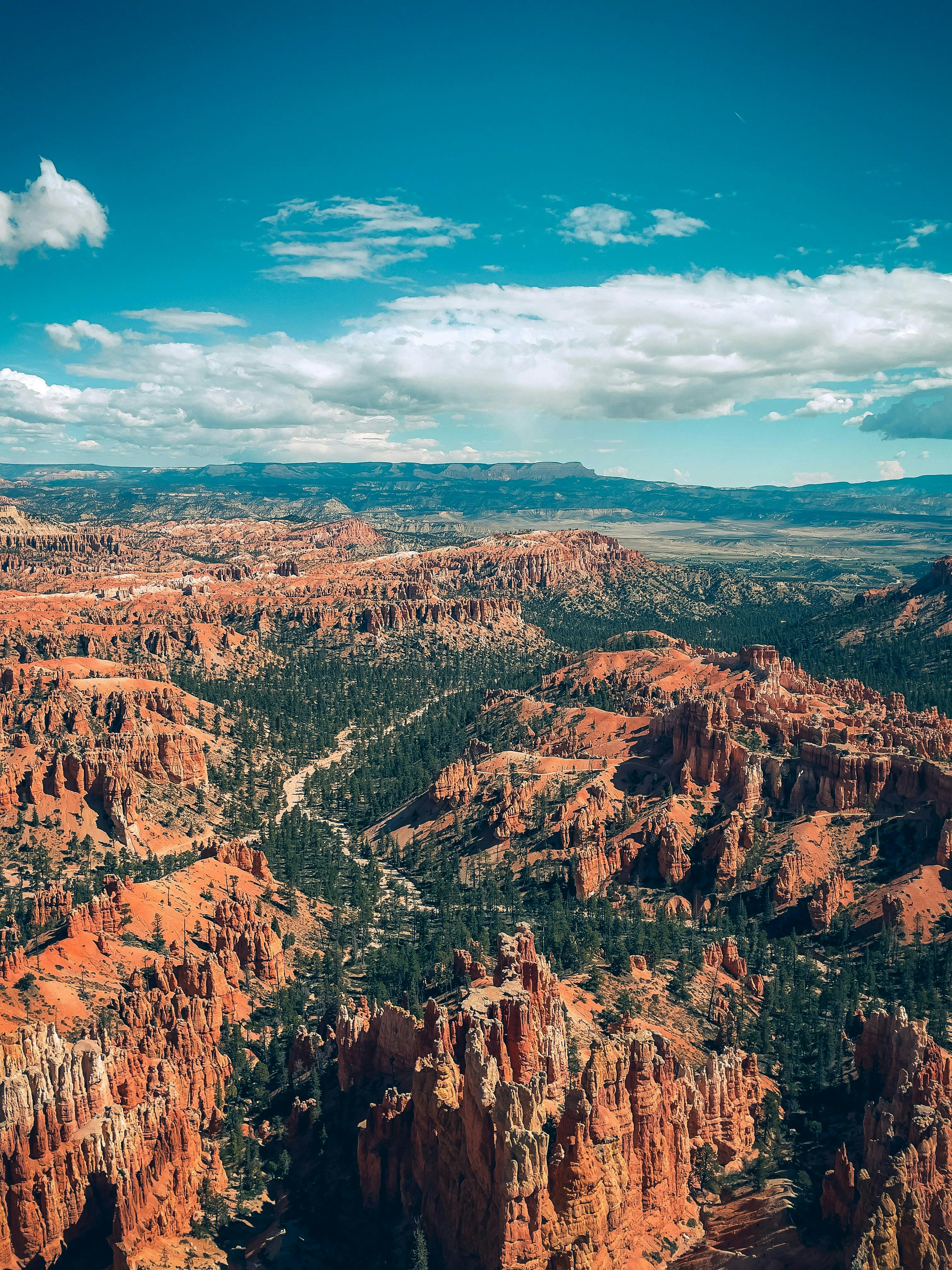 Photo by allenboguslavsky