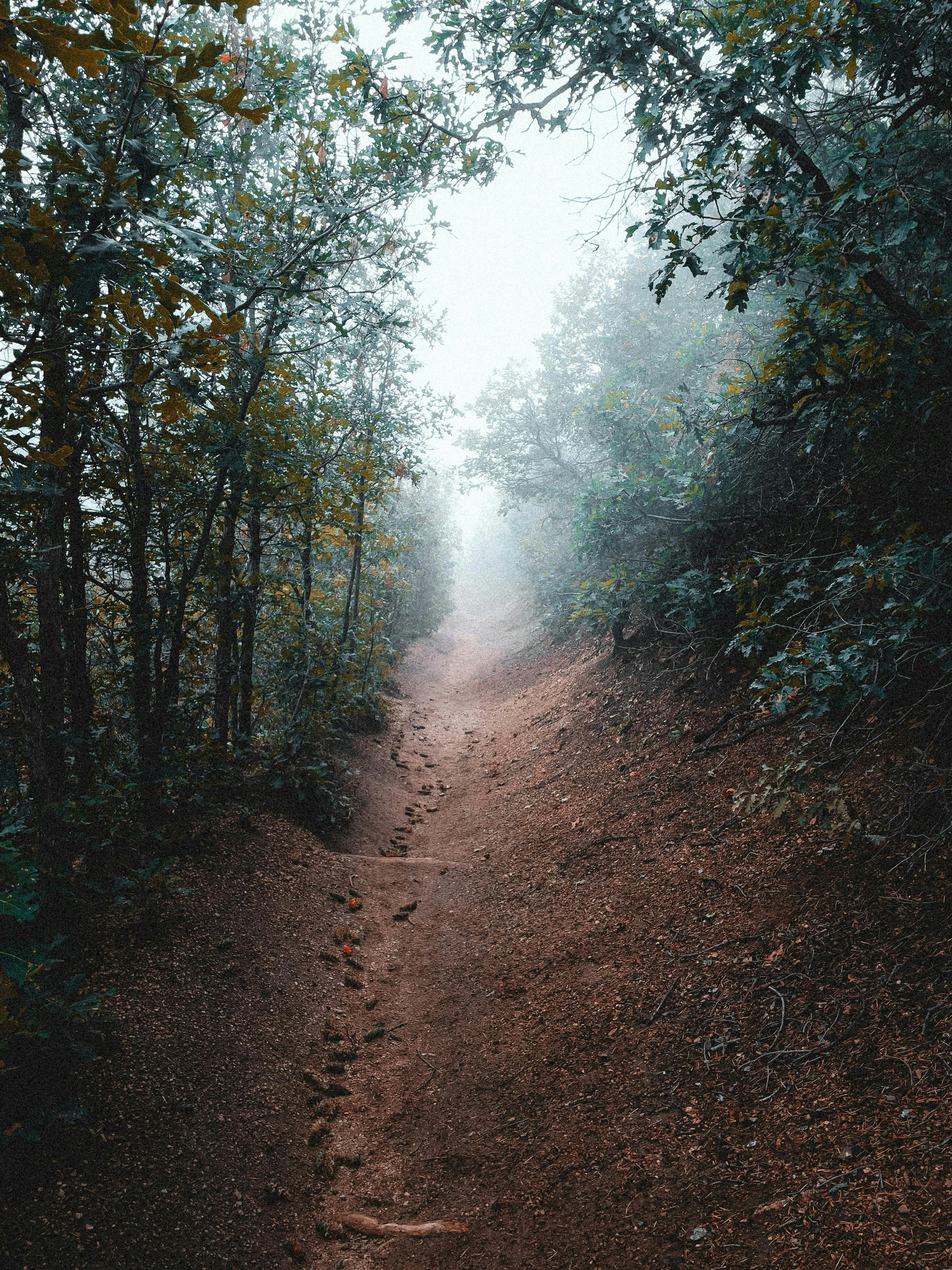 Photo by allenboguslavsky