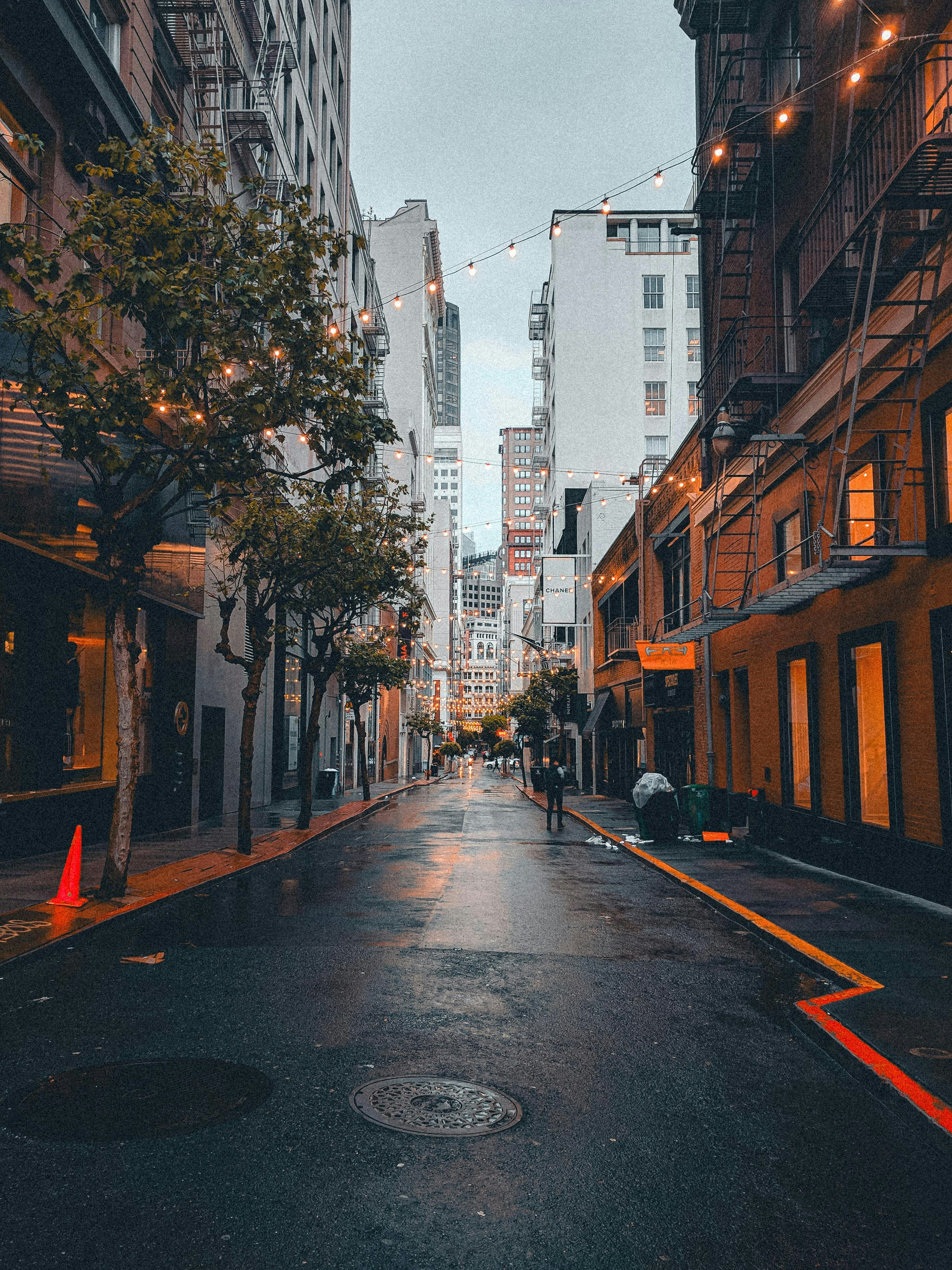 Photo by allenboguslavsky