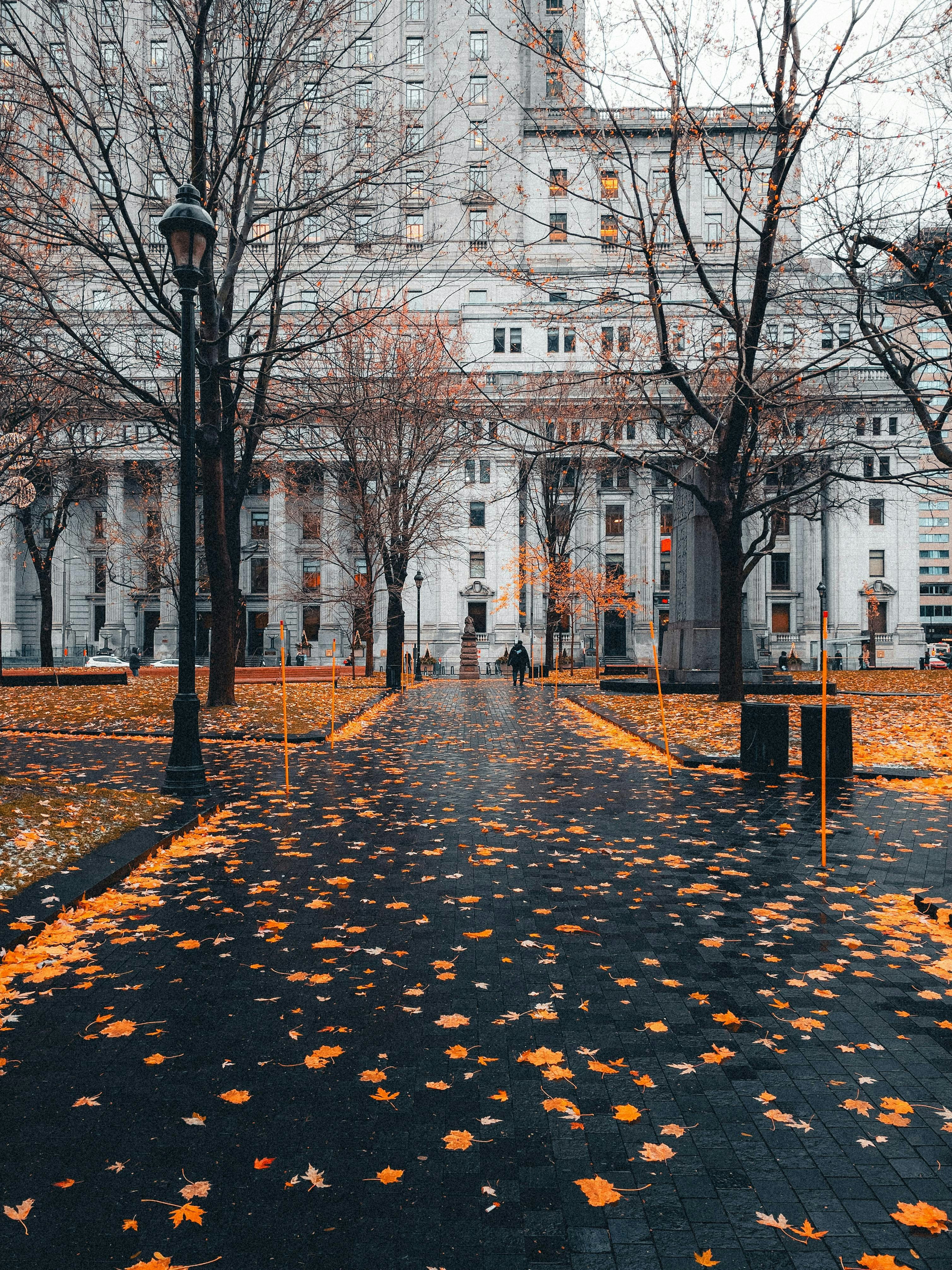 Photo by allenboguslavsky