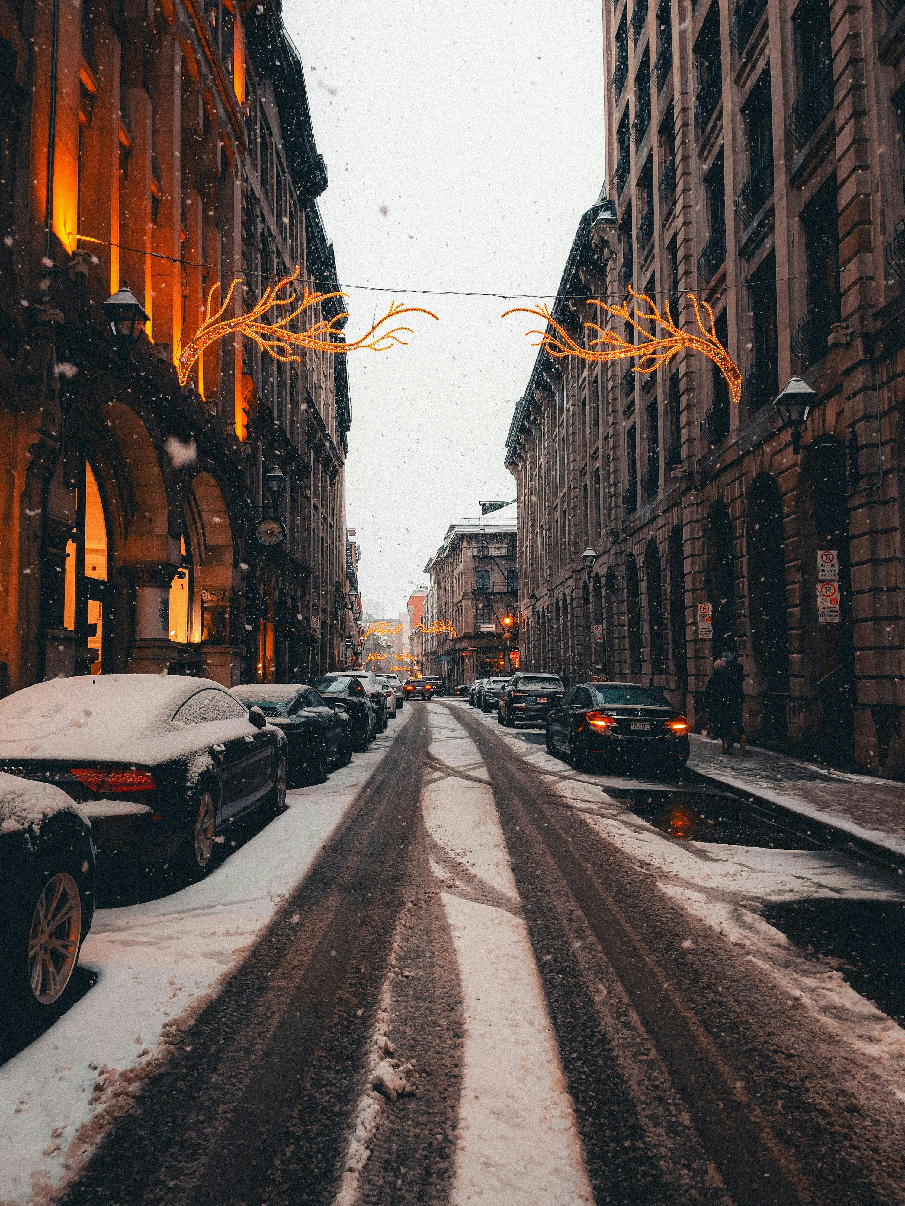 Photo by allenboguslavsky