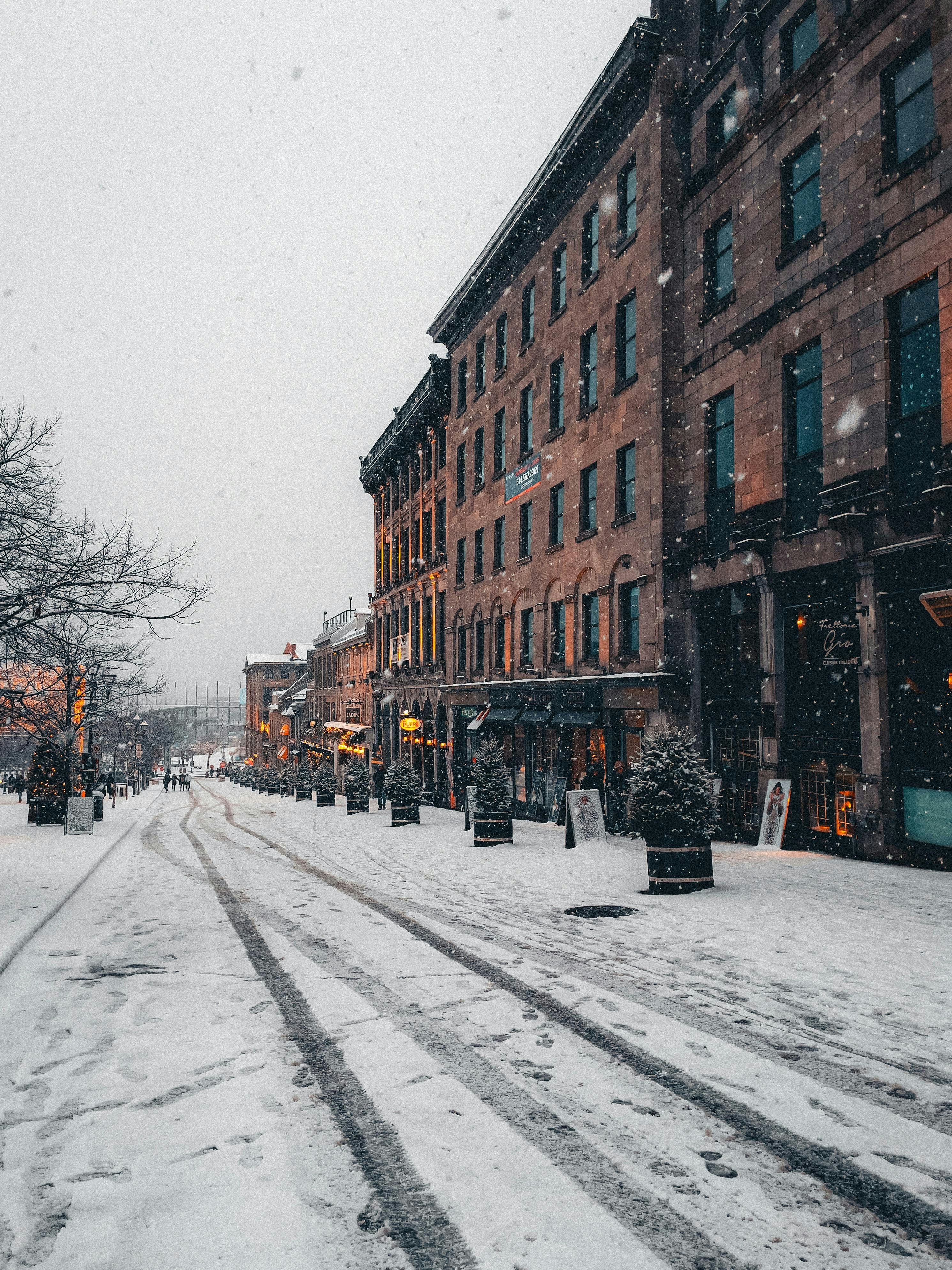 Photo by allenboguslavsky