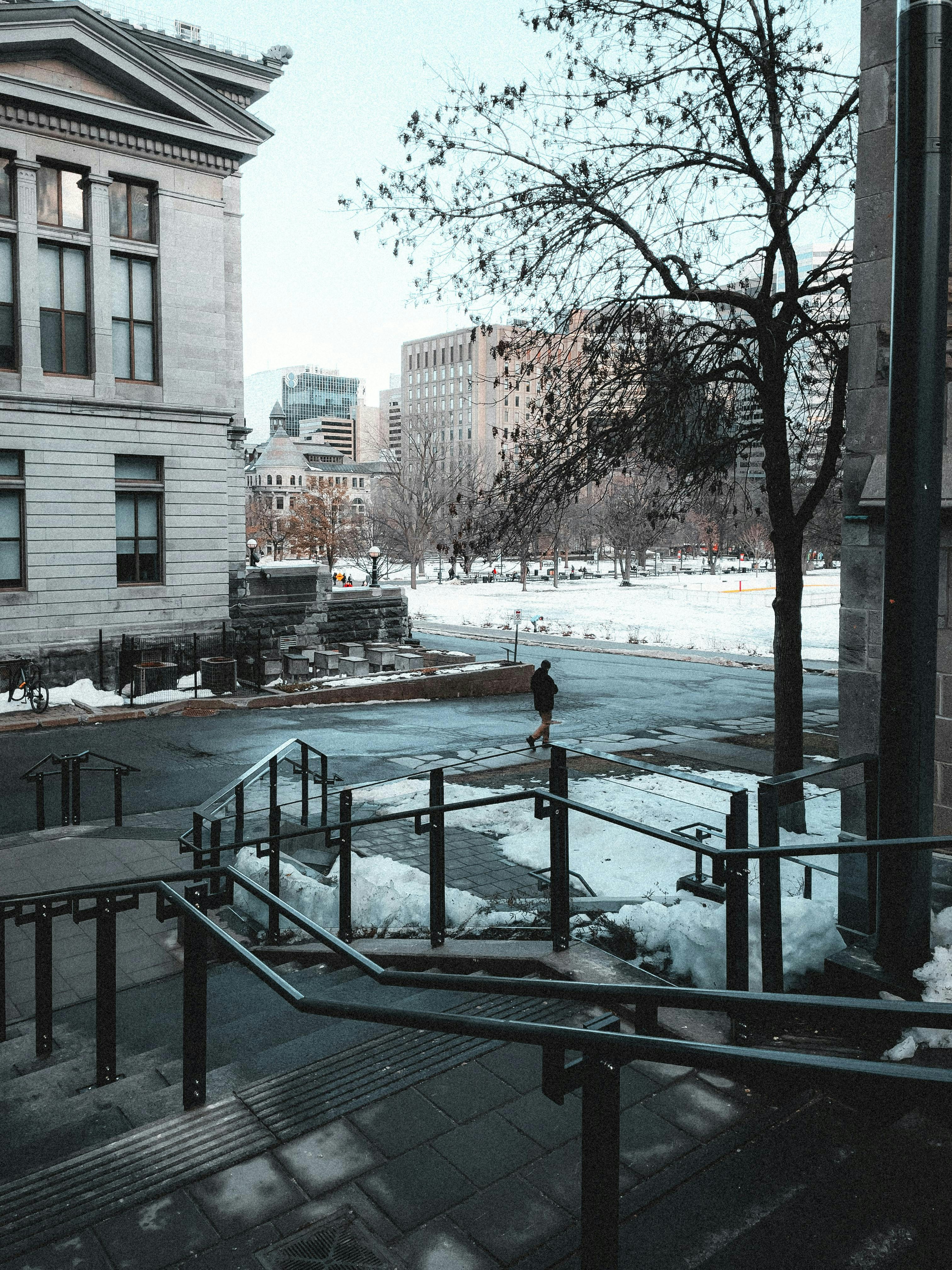 Photo by allenboguslavsky