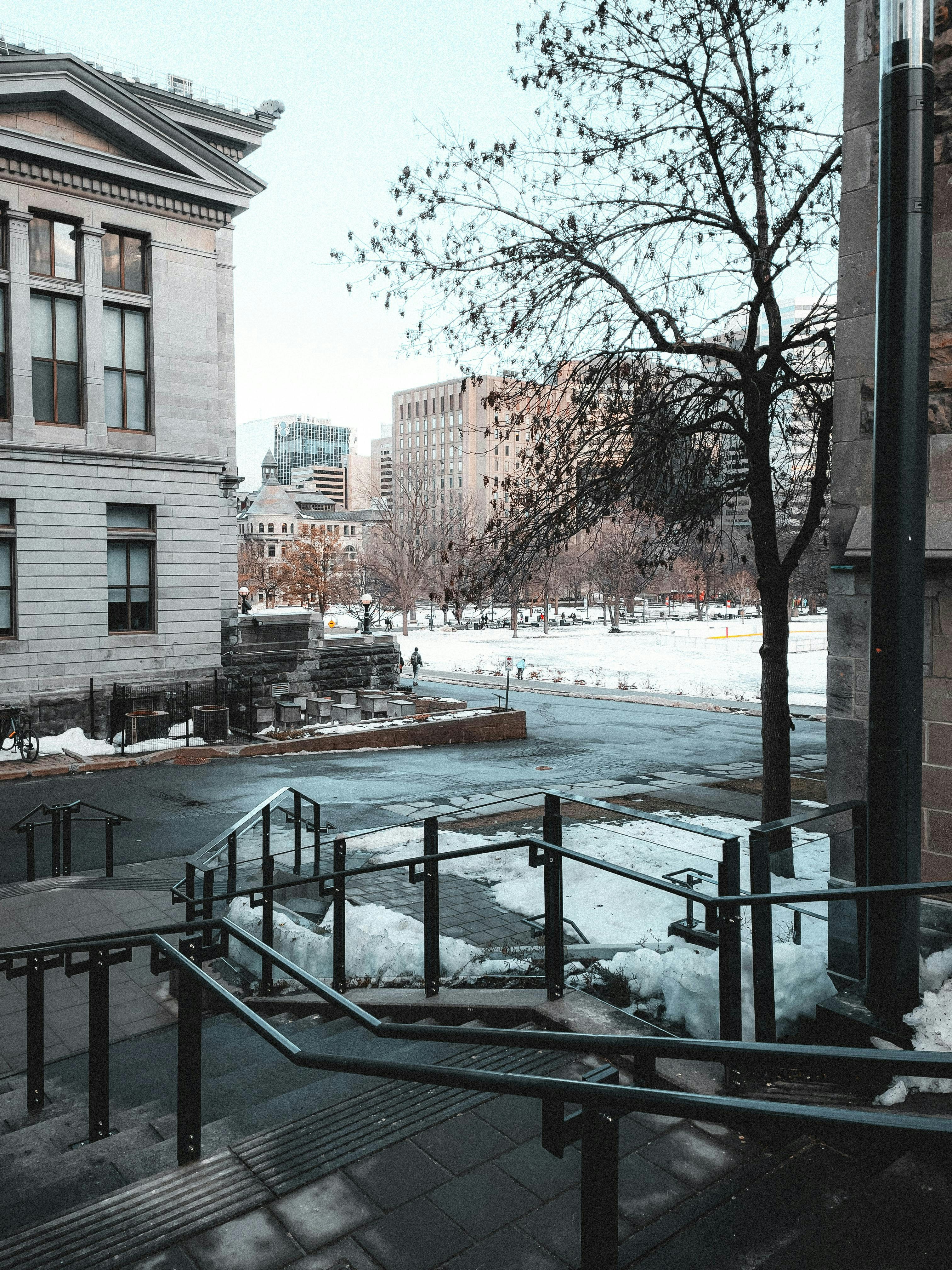 Photo by allenboguslavsky