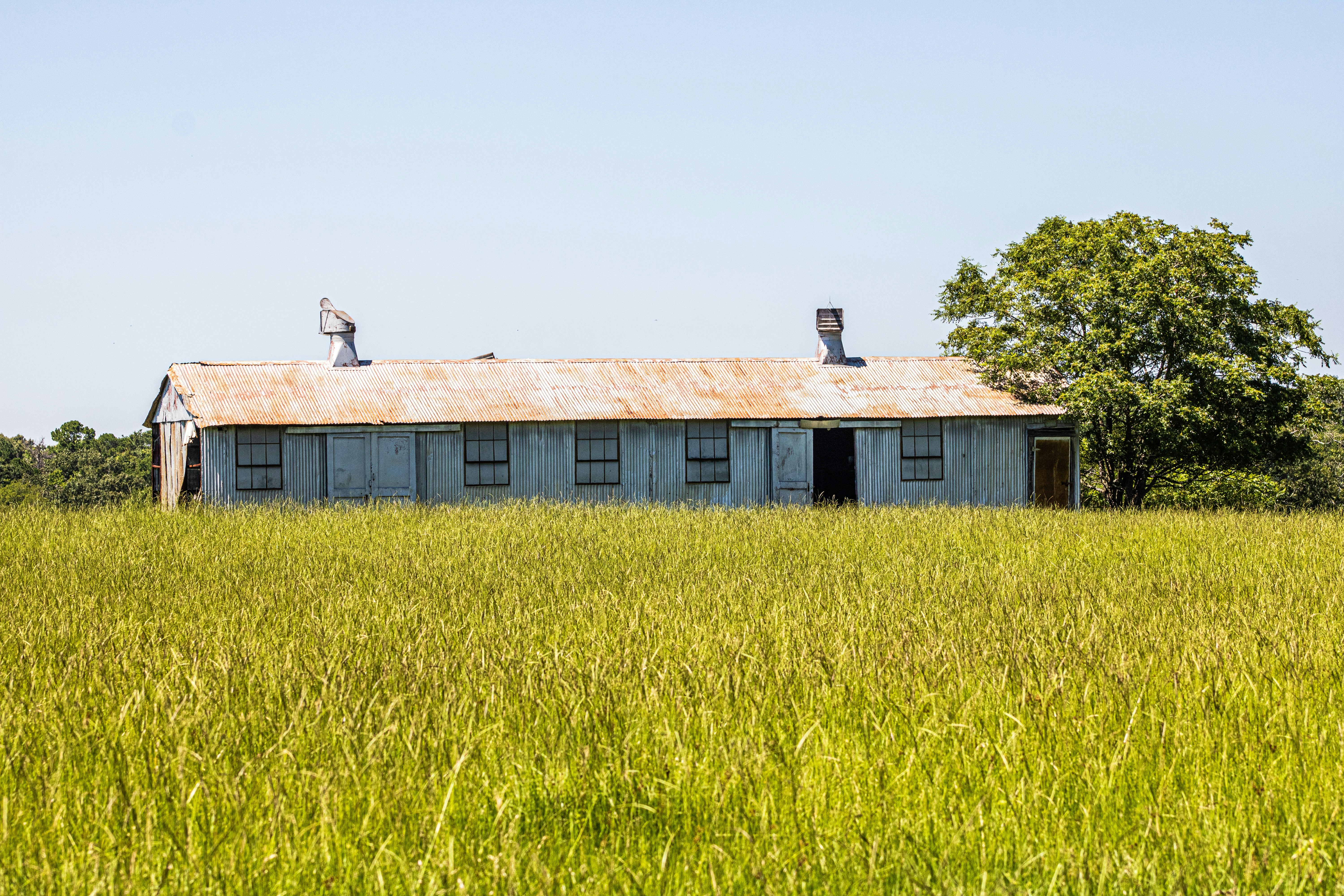 Photo by ronaldacrow