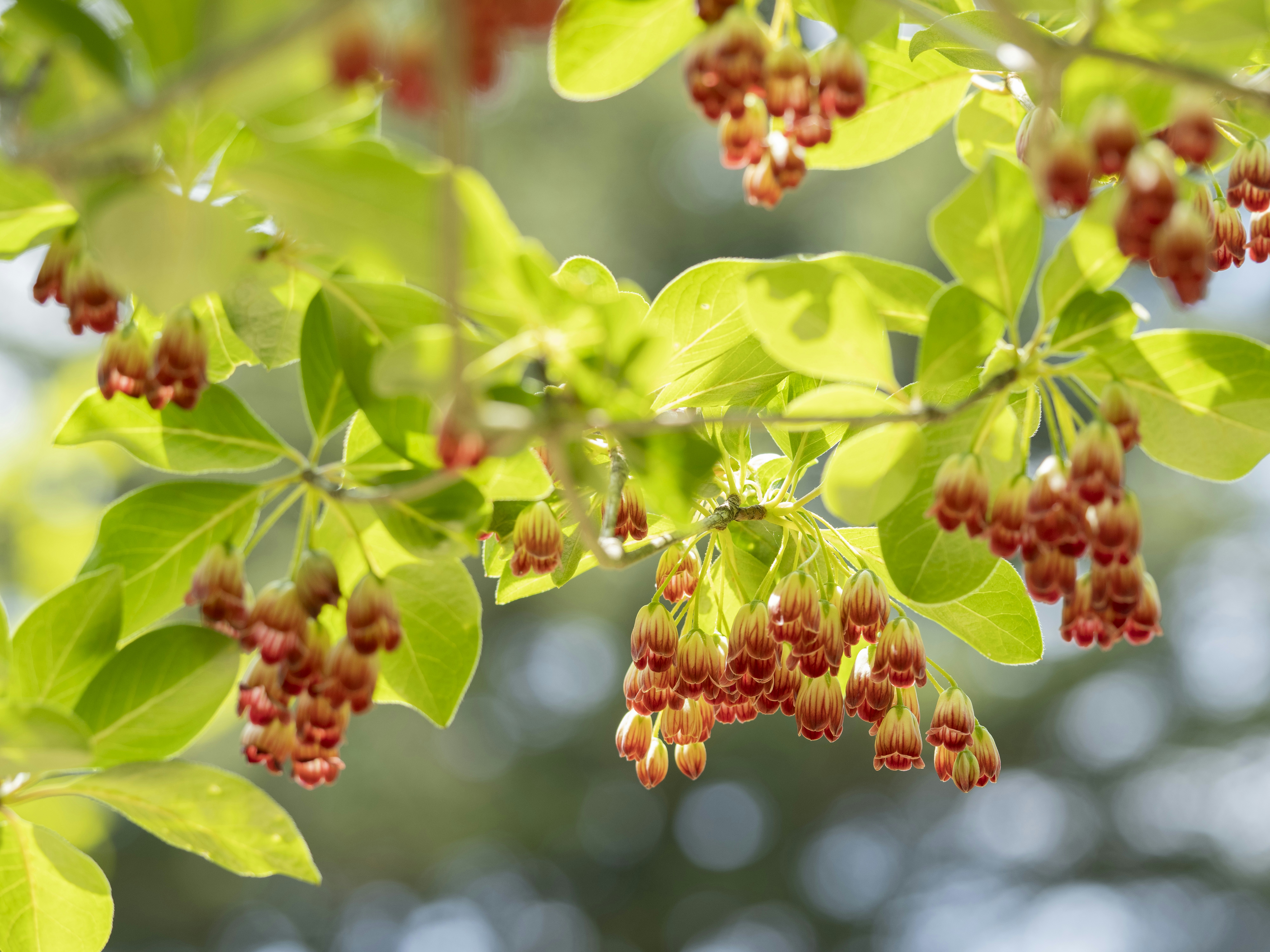 Photo by morningdew_work