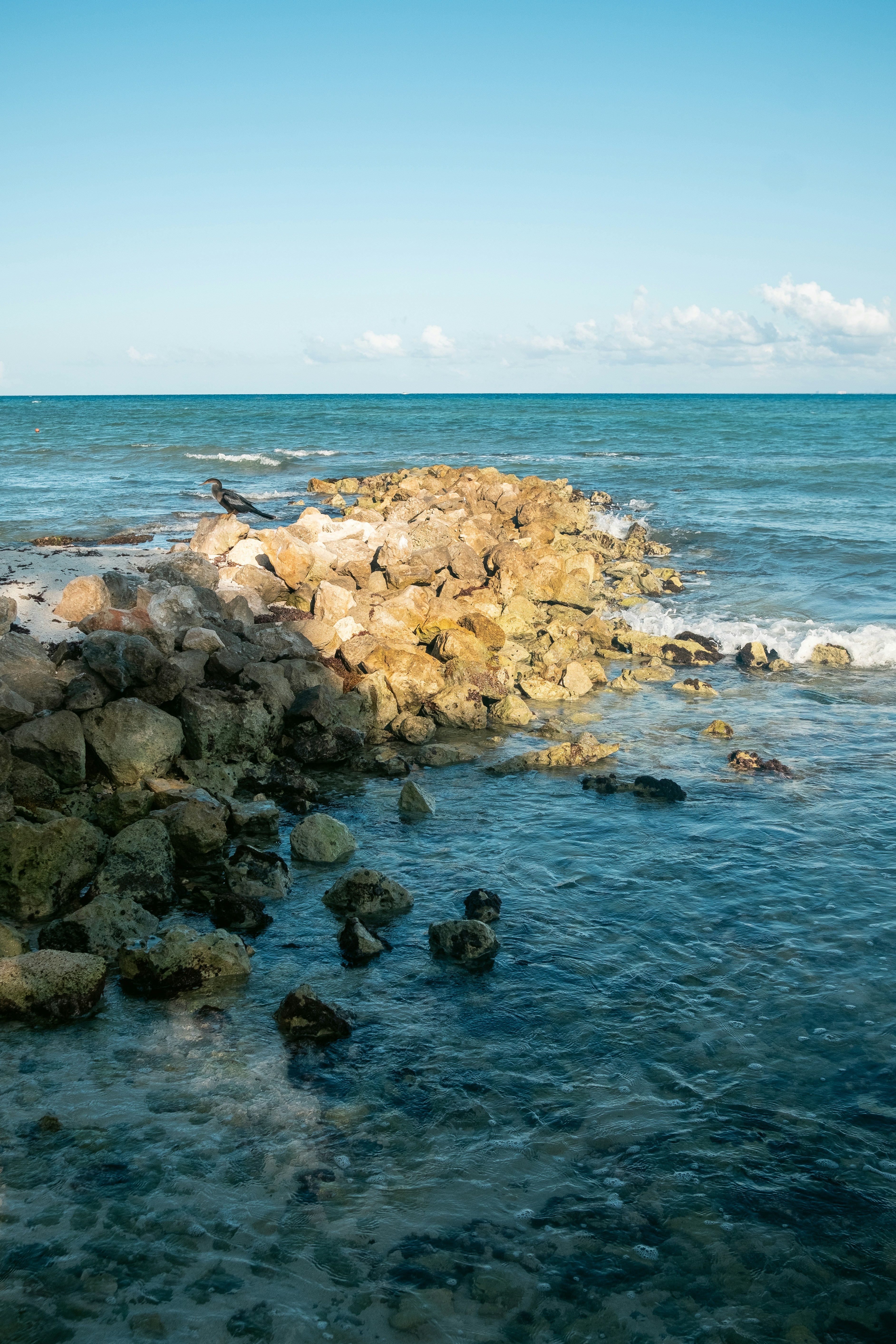 Photo by alex_quezada