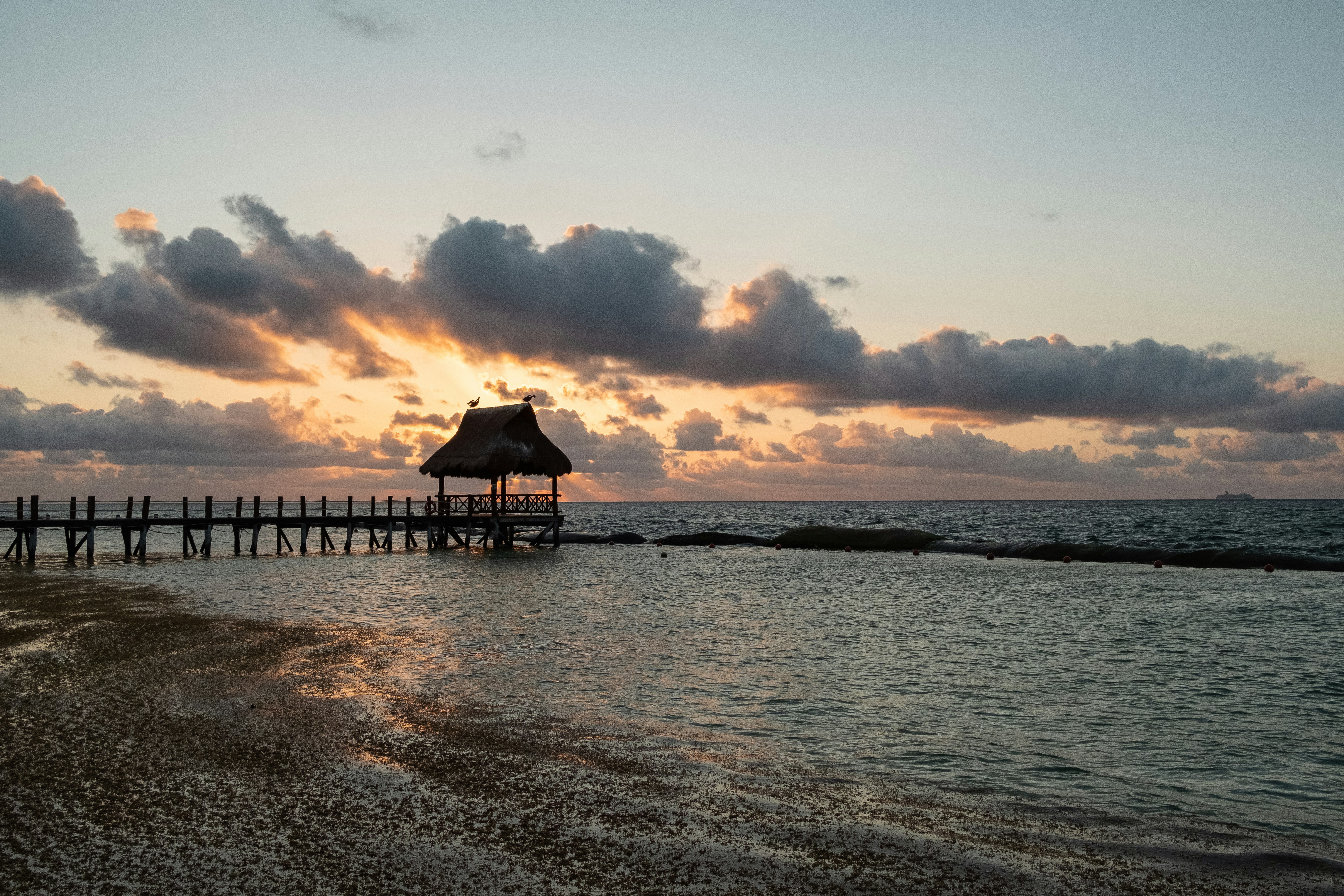 Photo by alex_quezada