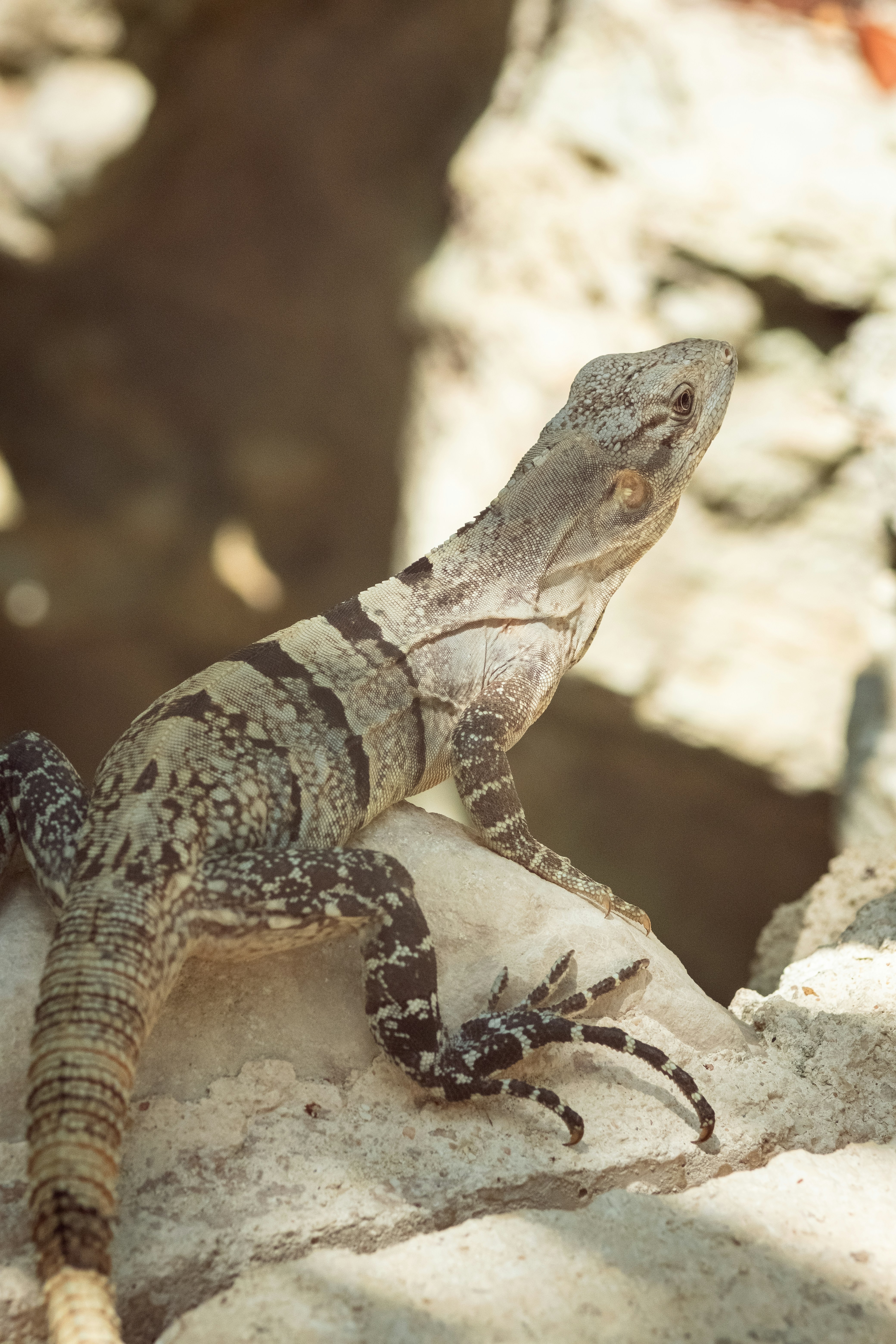 Photo by alex_quezada