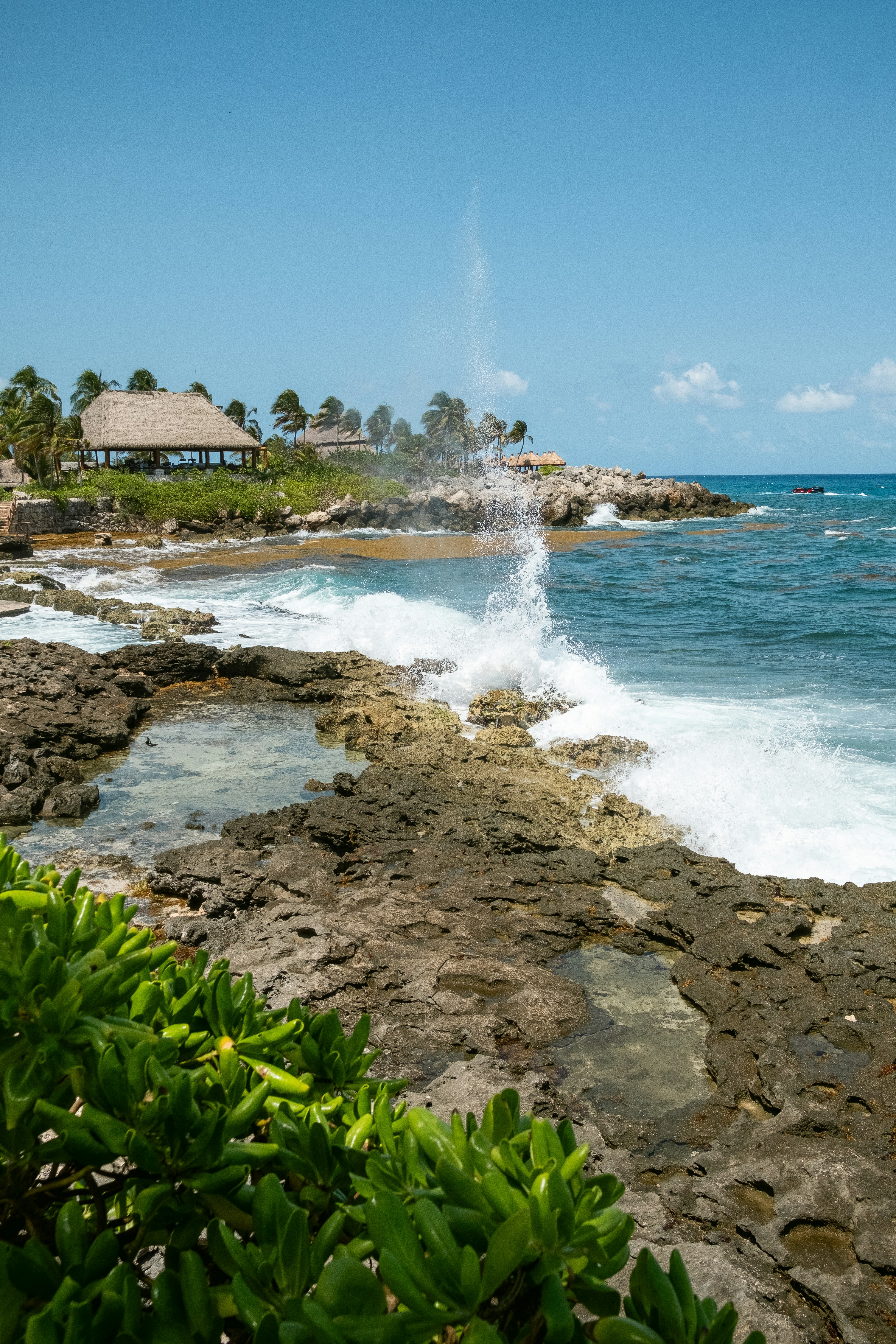 Photo by alex_quezada