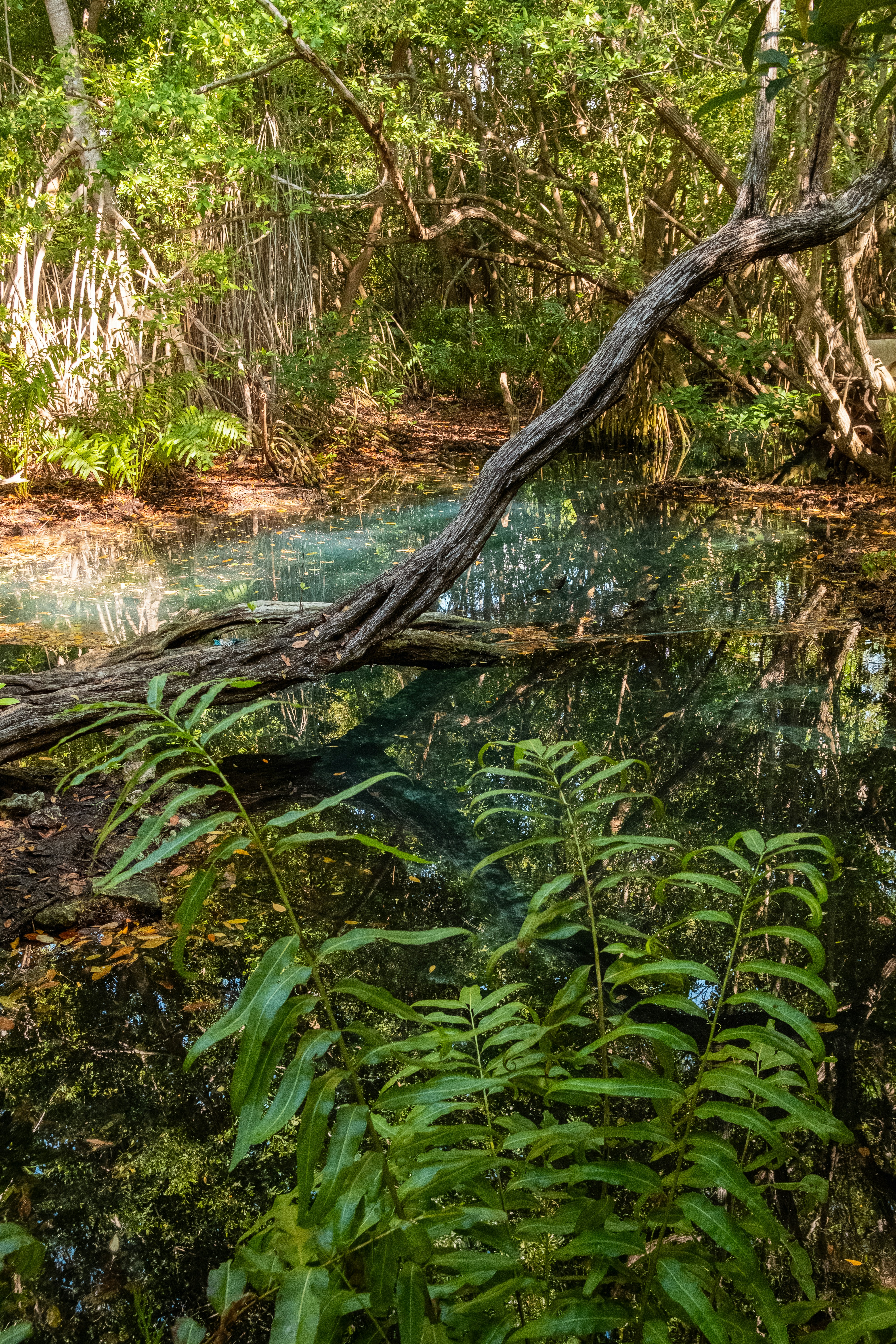 Photo by alex_quezada