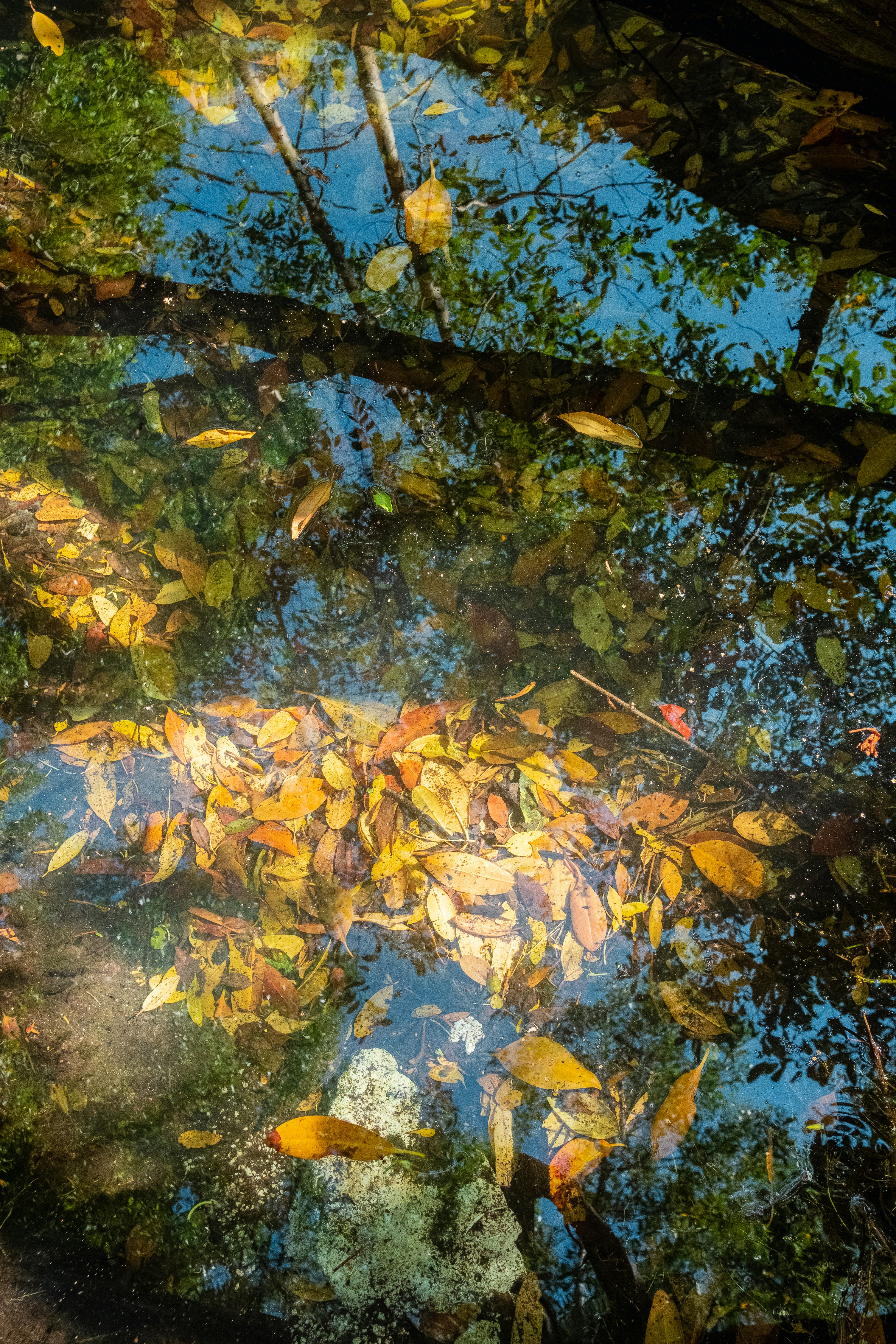 Photo by alex_quezada