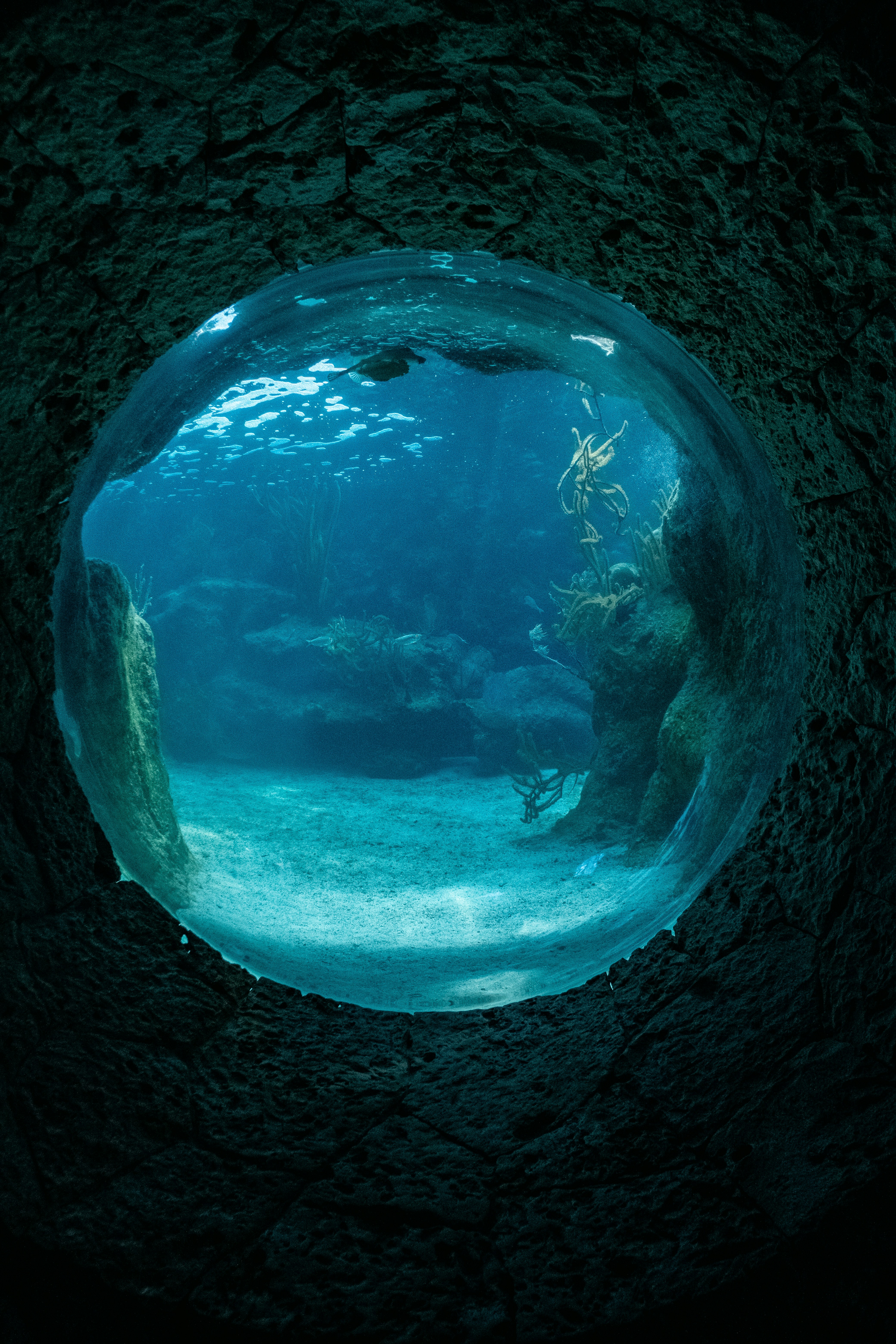 Photo by alex_quezada