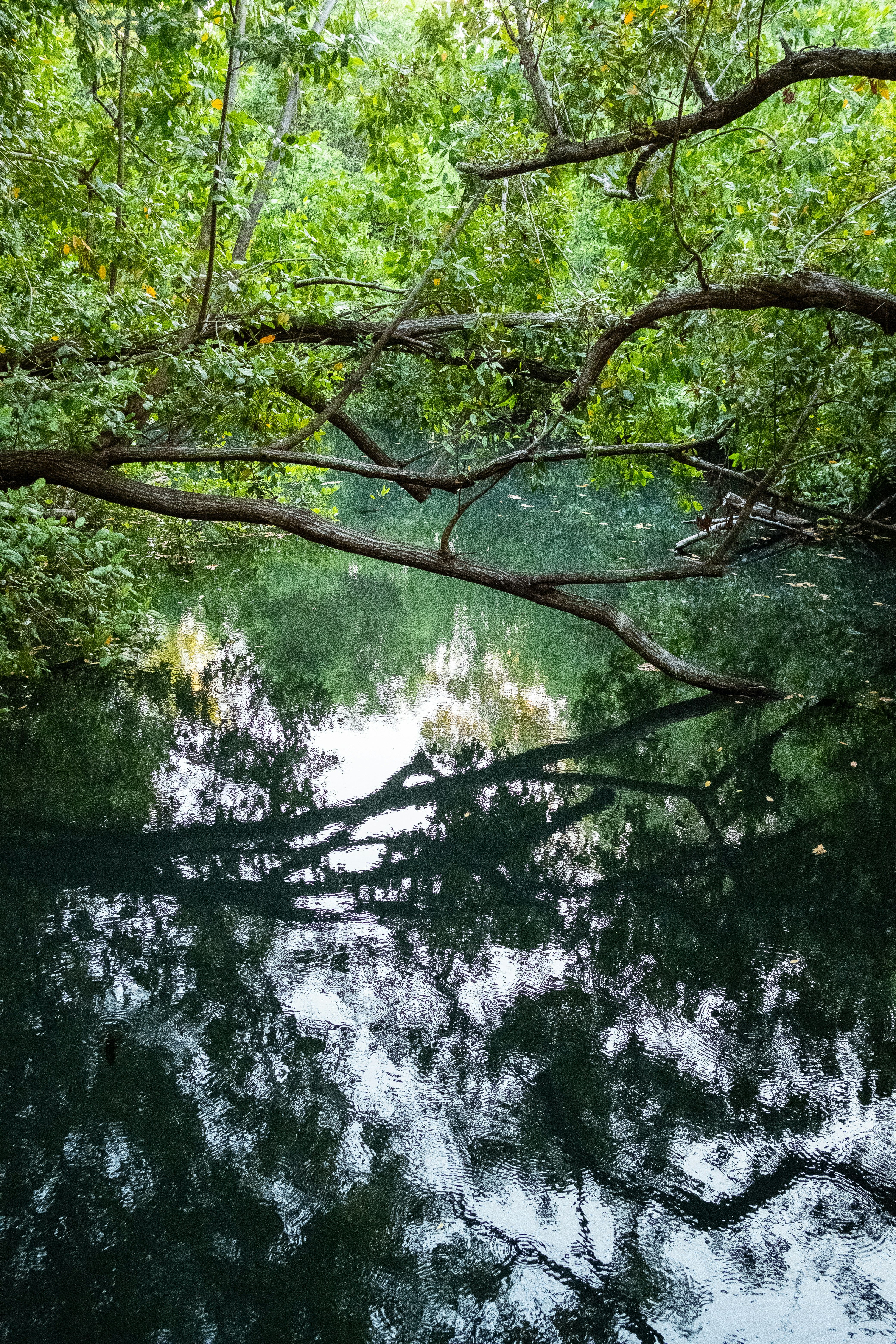 Photo by alex_quezada