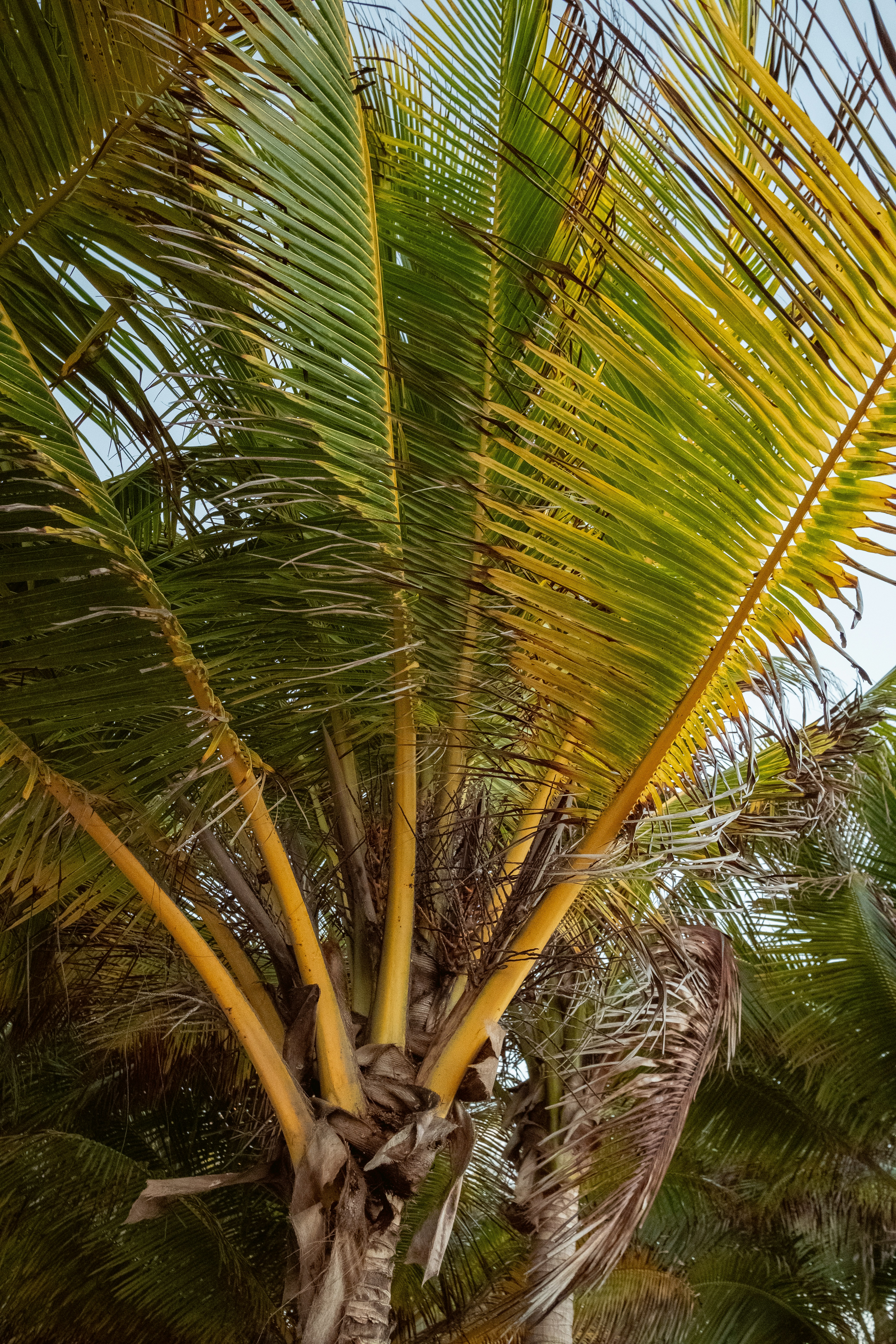 Photo by alex_quezada