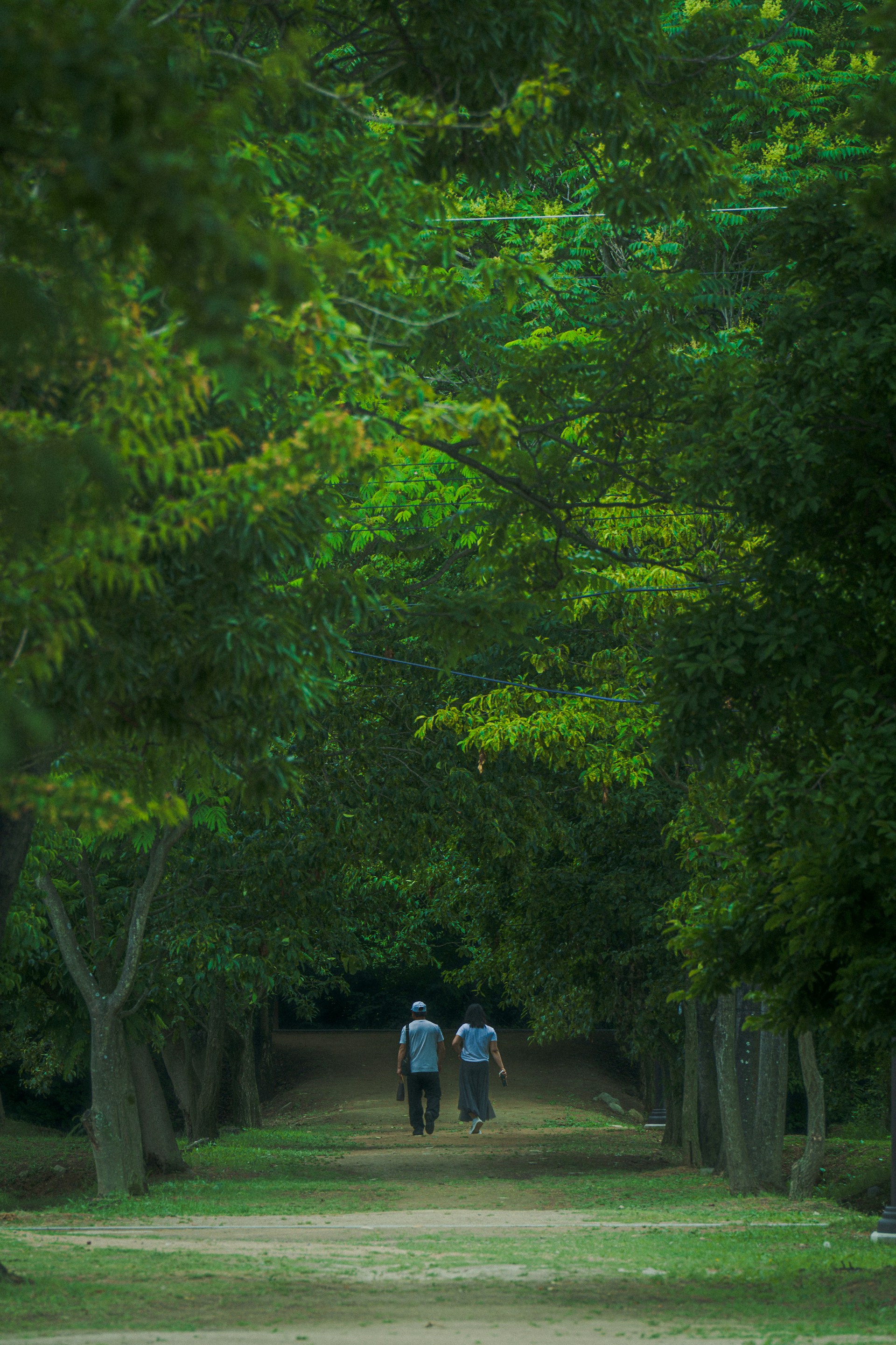 Two people walking down a dirt road surrounded by trees
