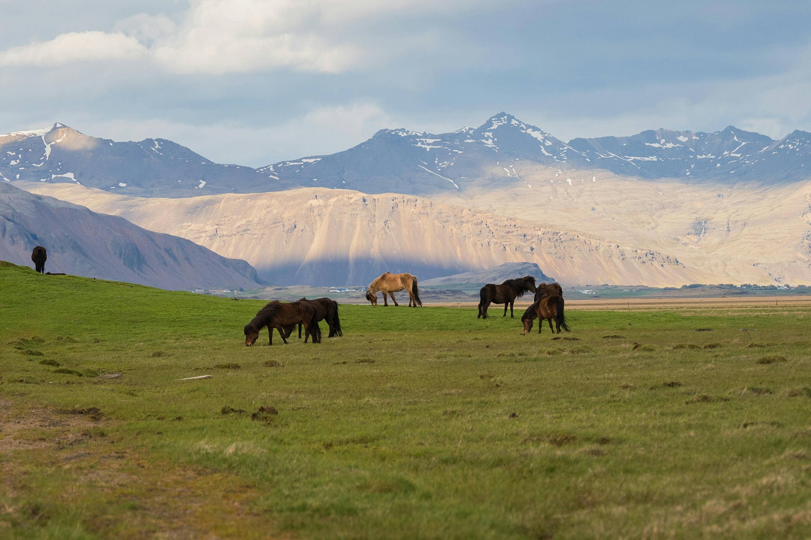 Photo by mathiasdargnat