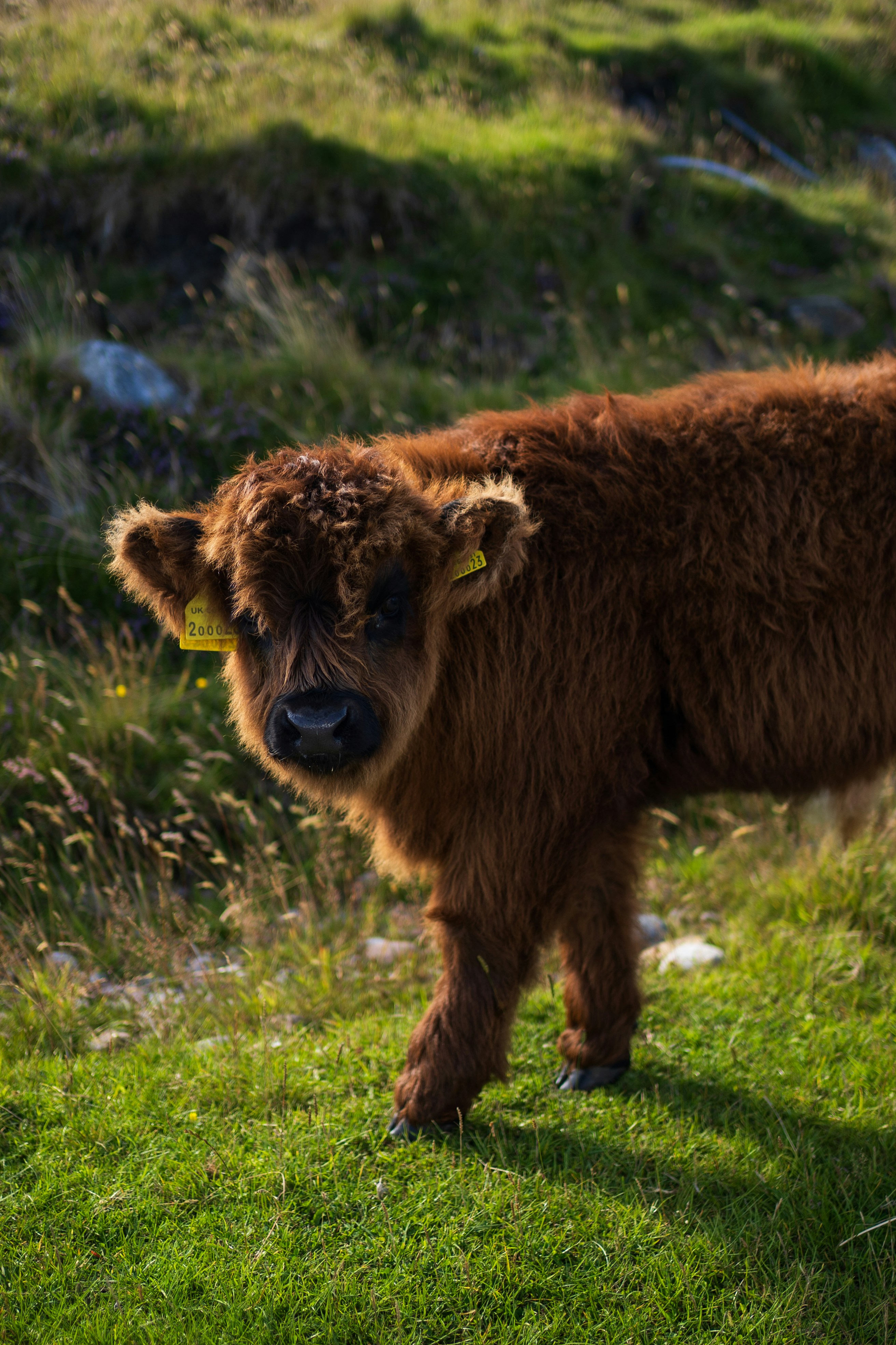 Photo by mathiasdargnat