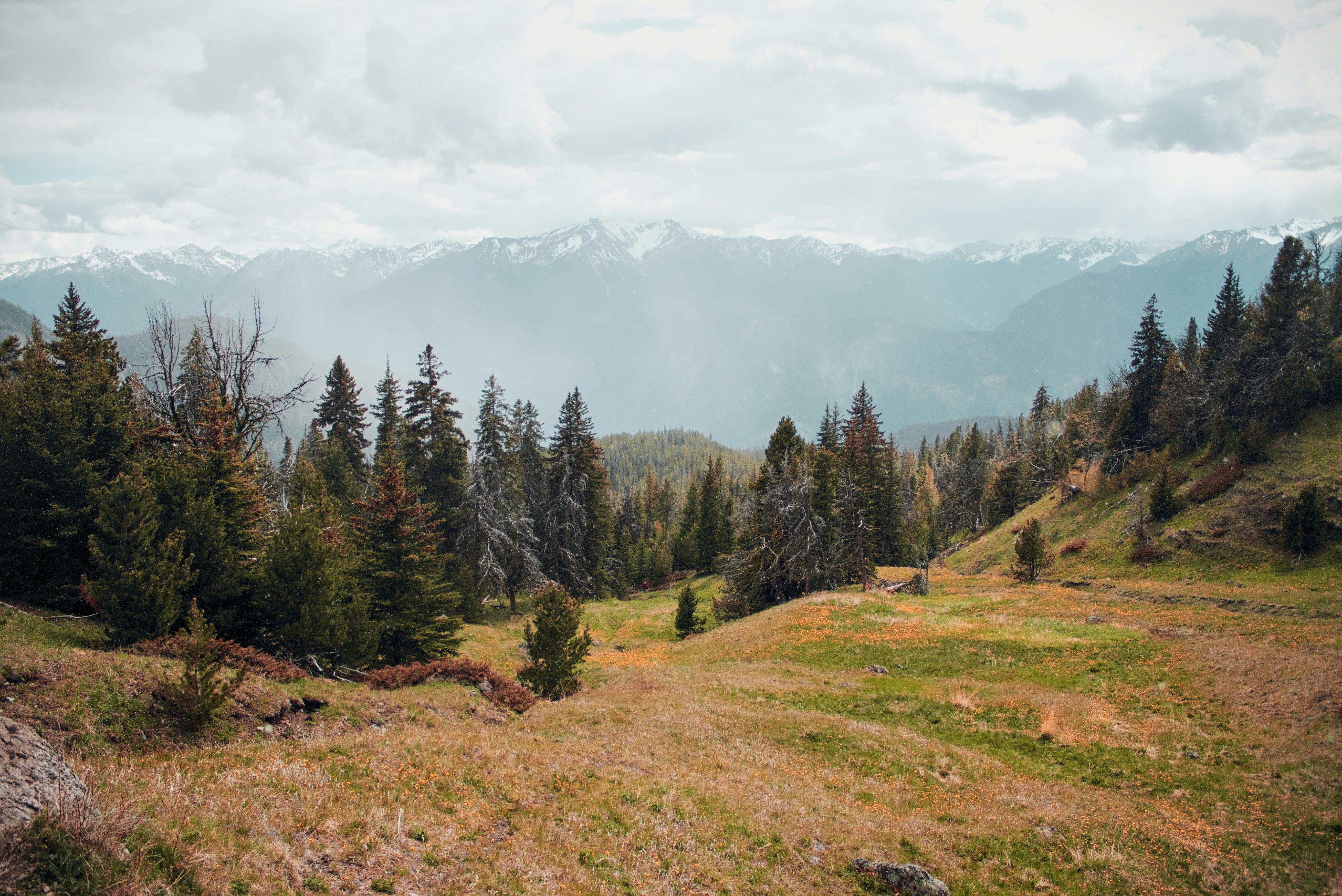 Photo by dcanadianphotographer