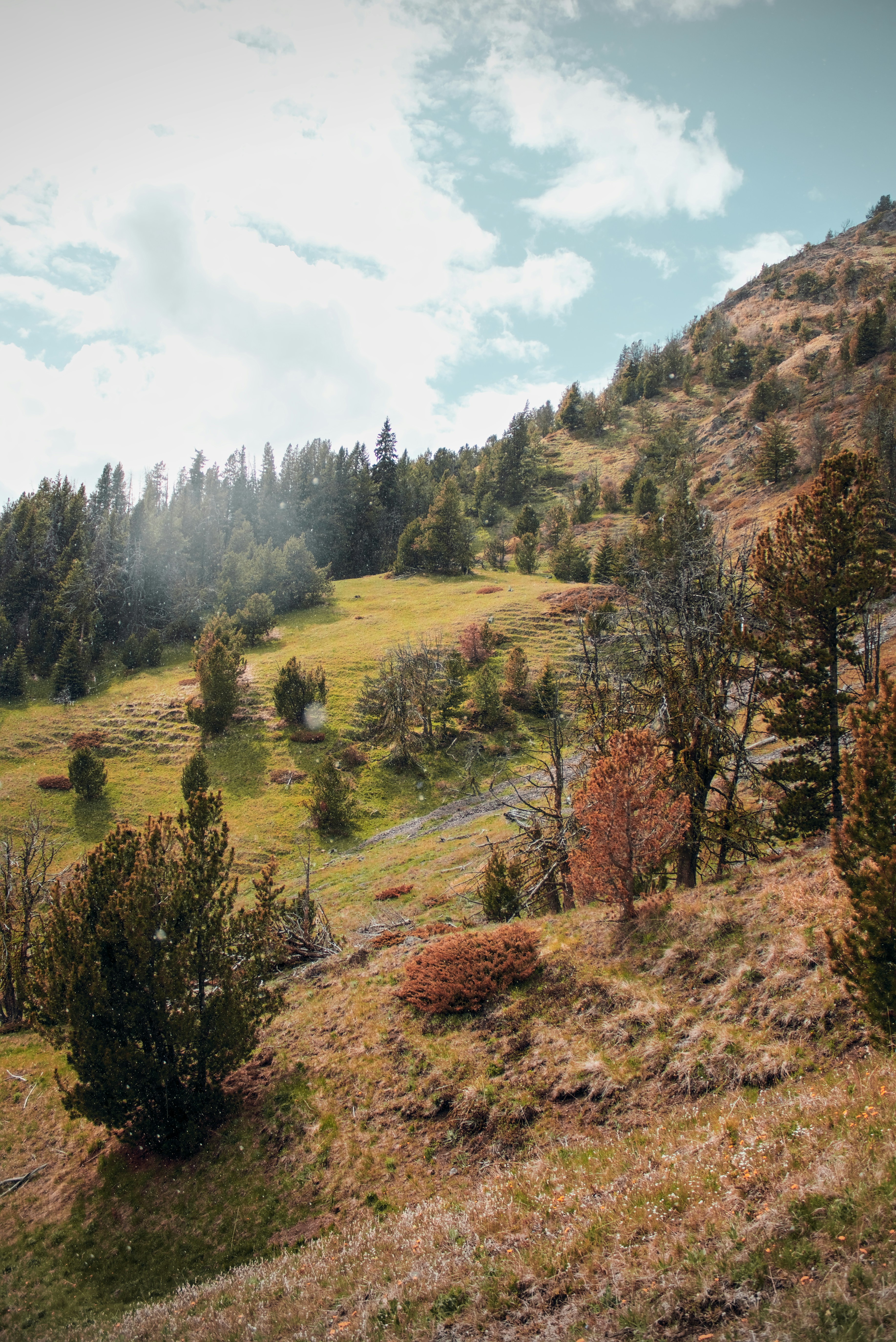 Photo by dcanadianphotographer