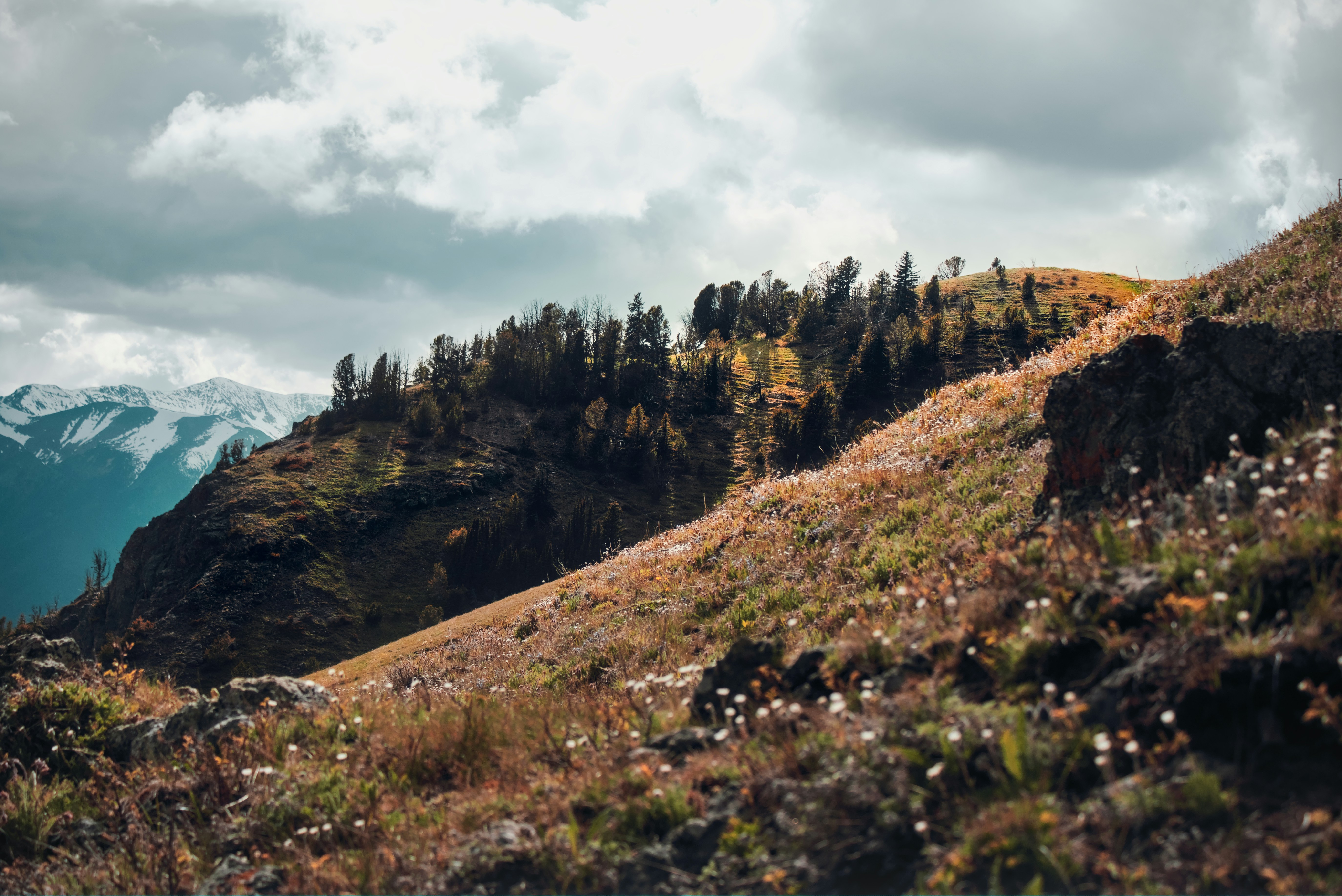 Photo by dcanadianphotographer