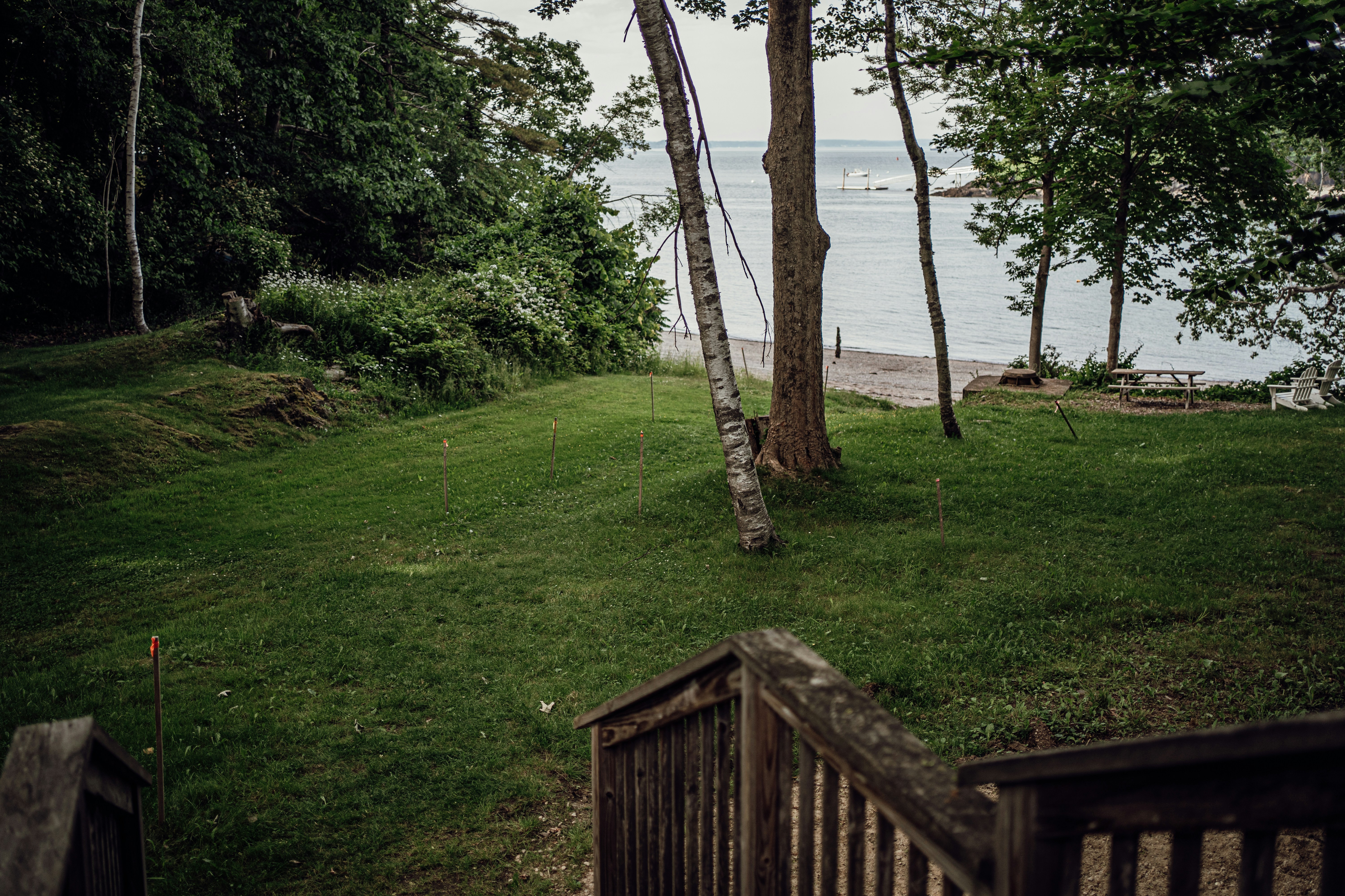 A view of a grassy area with trees and a body of water