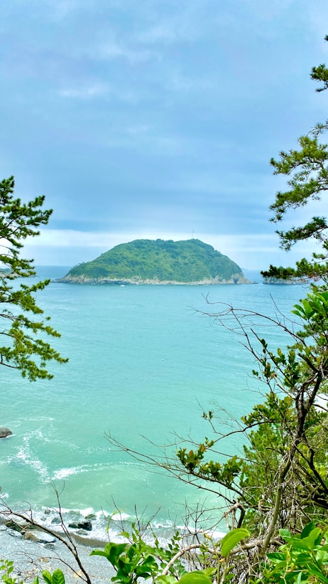 A view of the ocean from a hill