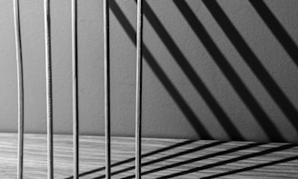 A black and white photo of a row of metal bars