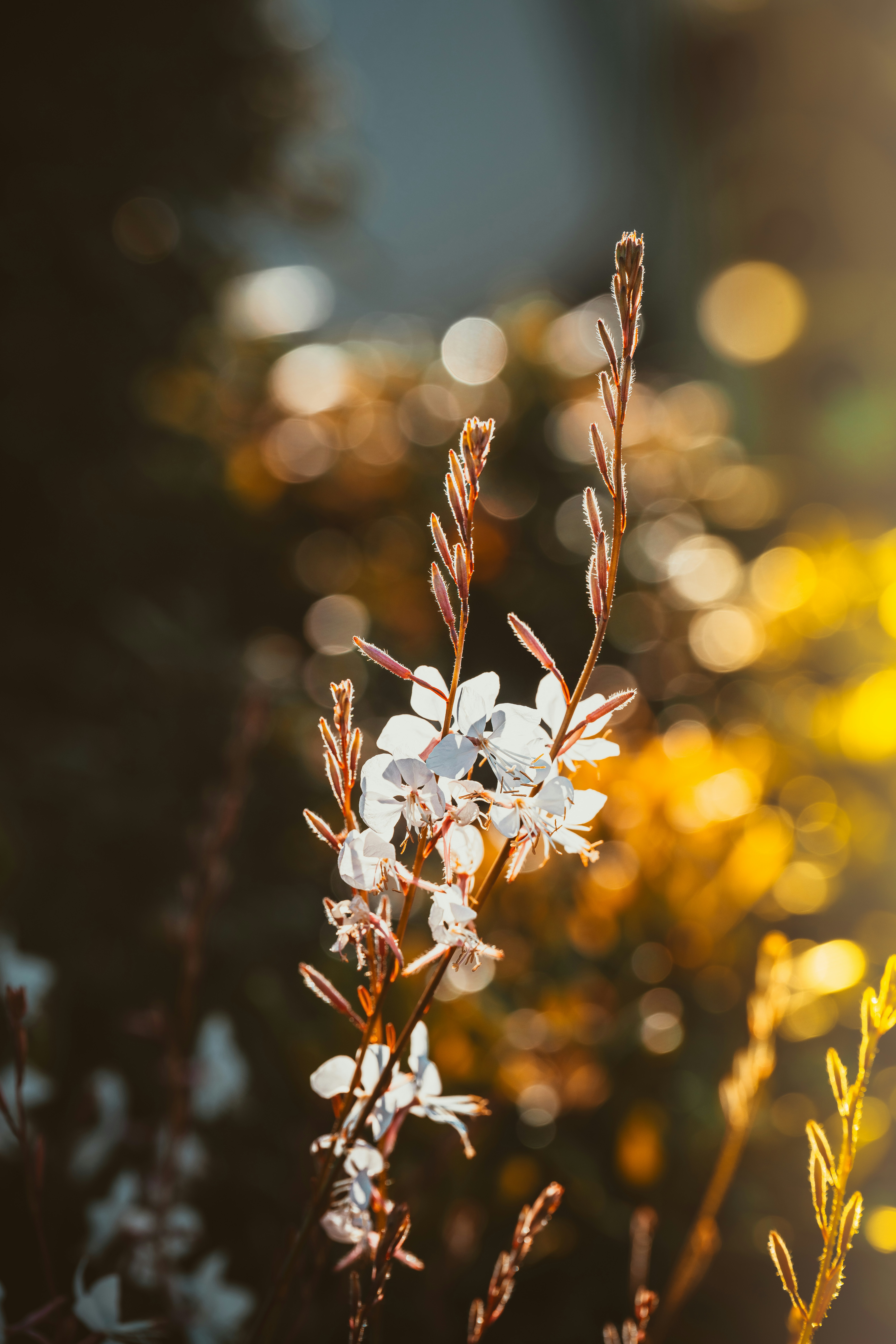 Photo by happy_pixel