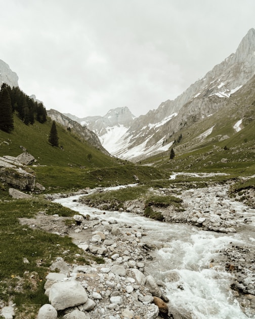 Trolling basics beginners — step-by-step visual example