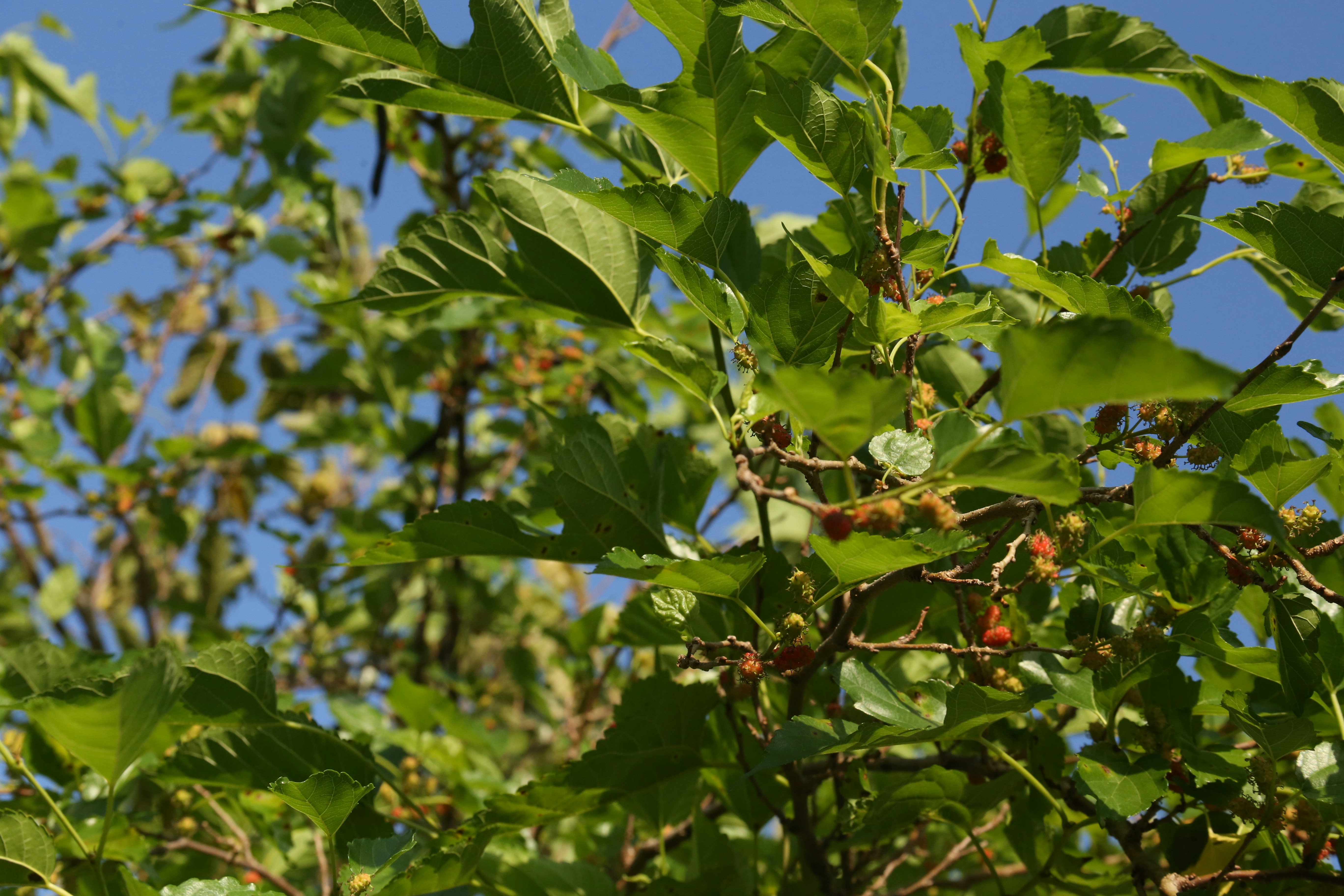 Photo by george_davison