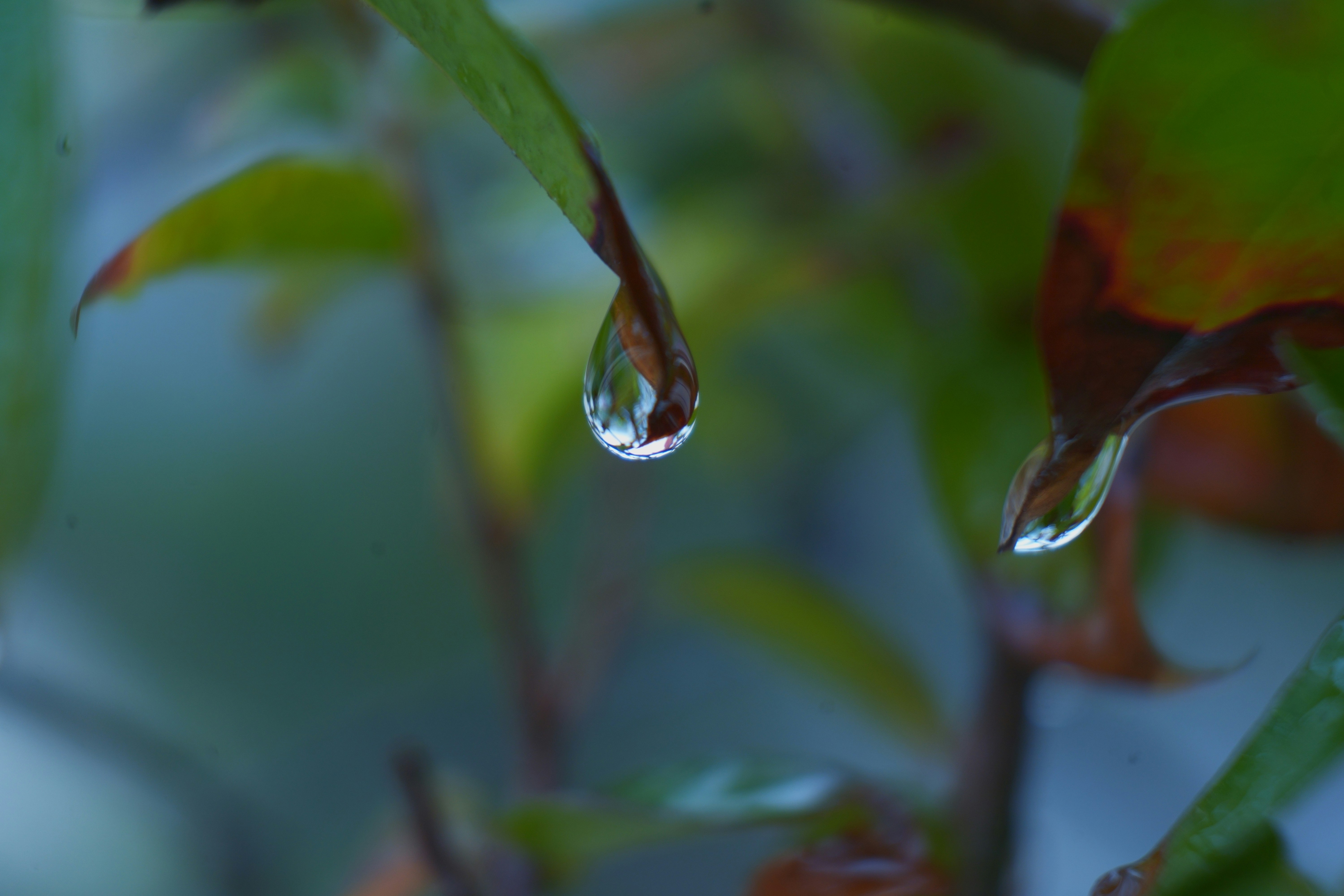 Photo by george_davison