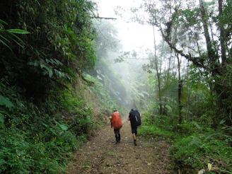 A couple of people walking down a dirt road