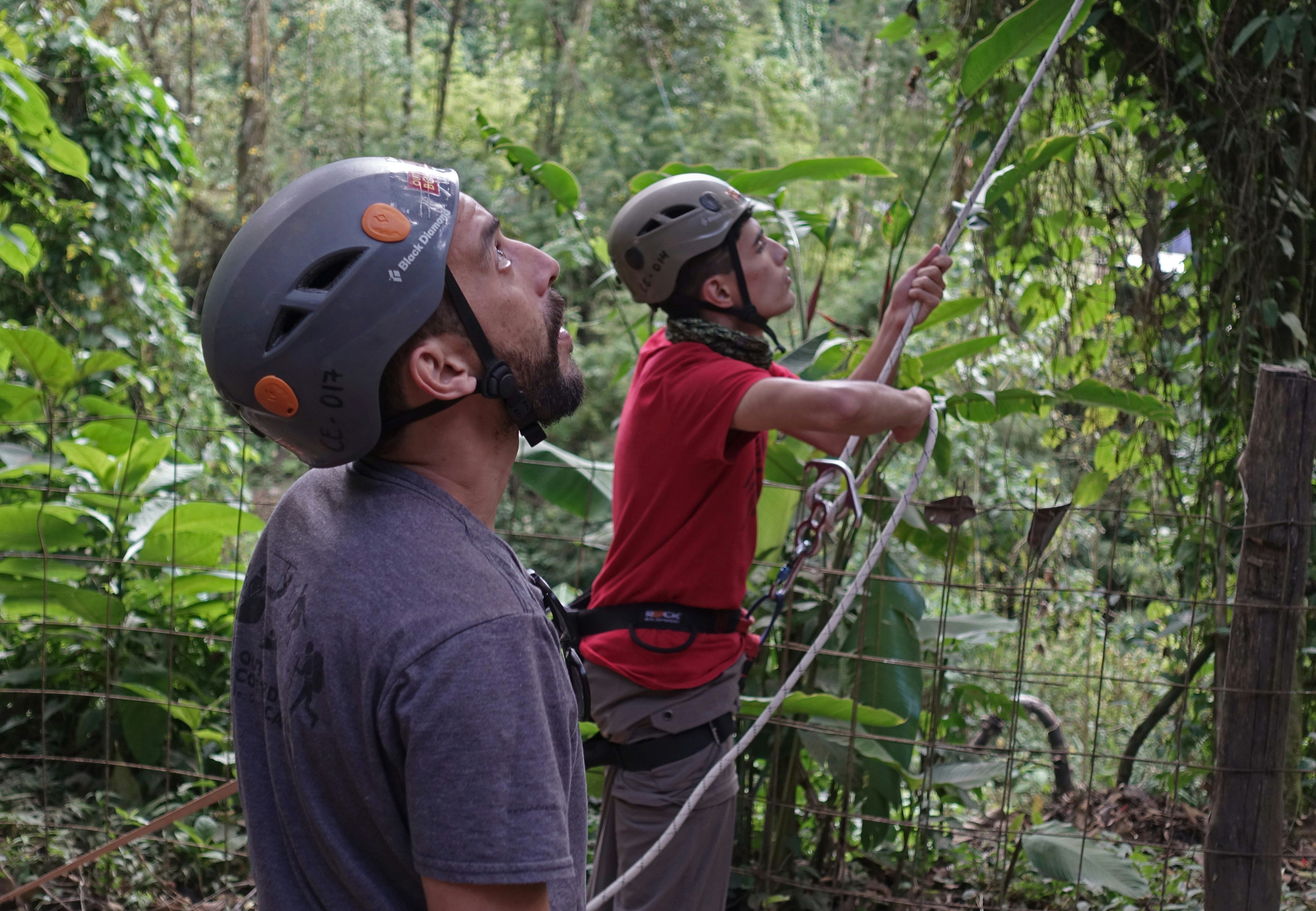 Two men in safety gear looking up in a green forest.