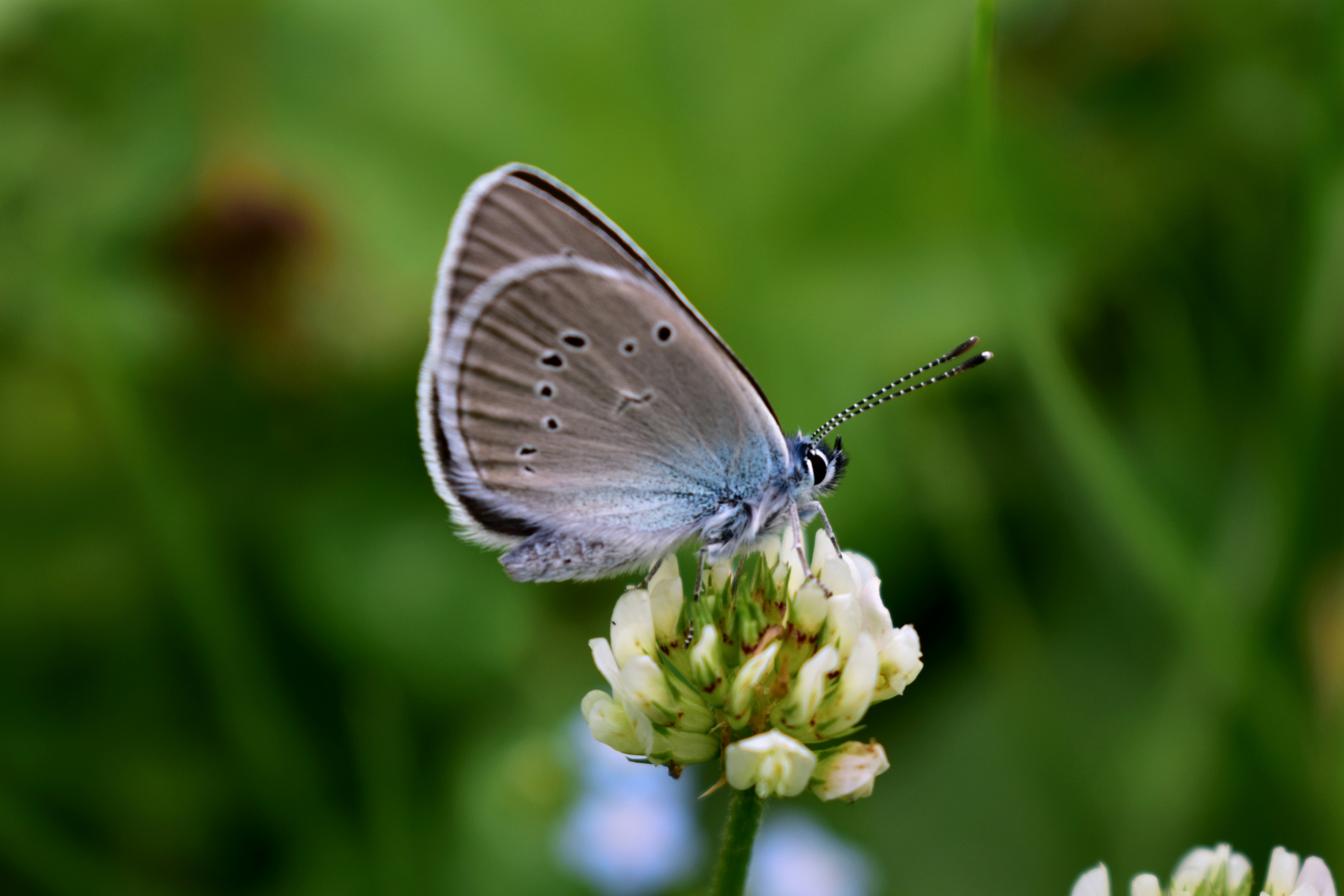 Photo by polina_grishma