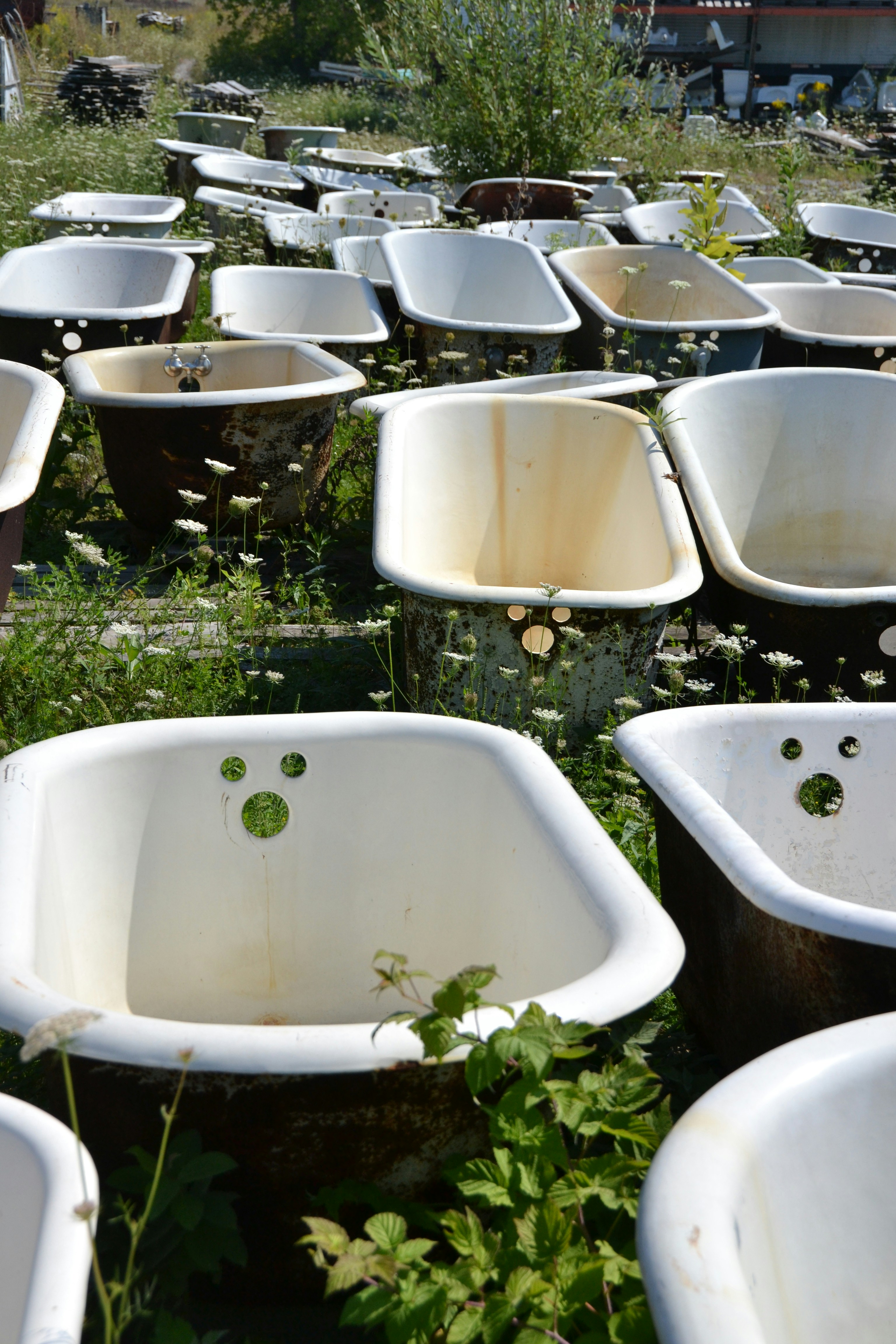 A field full of white bath tubs sitting next to each other