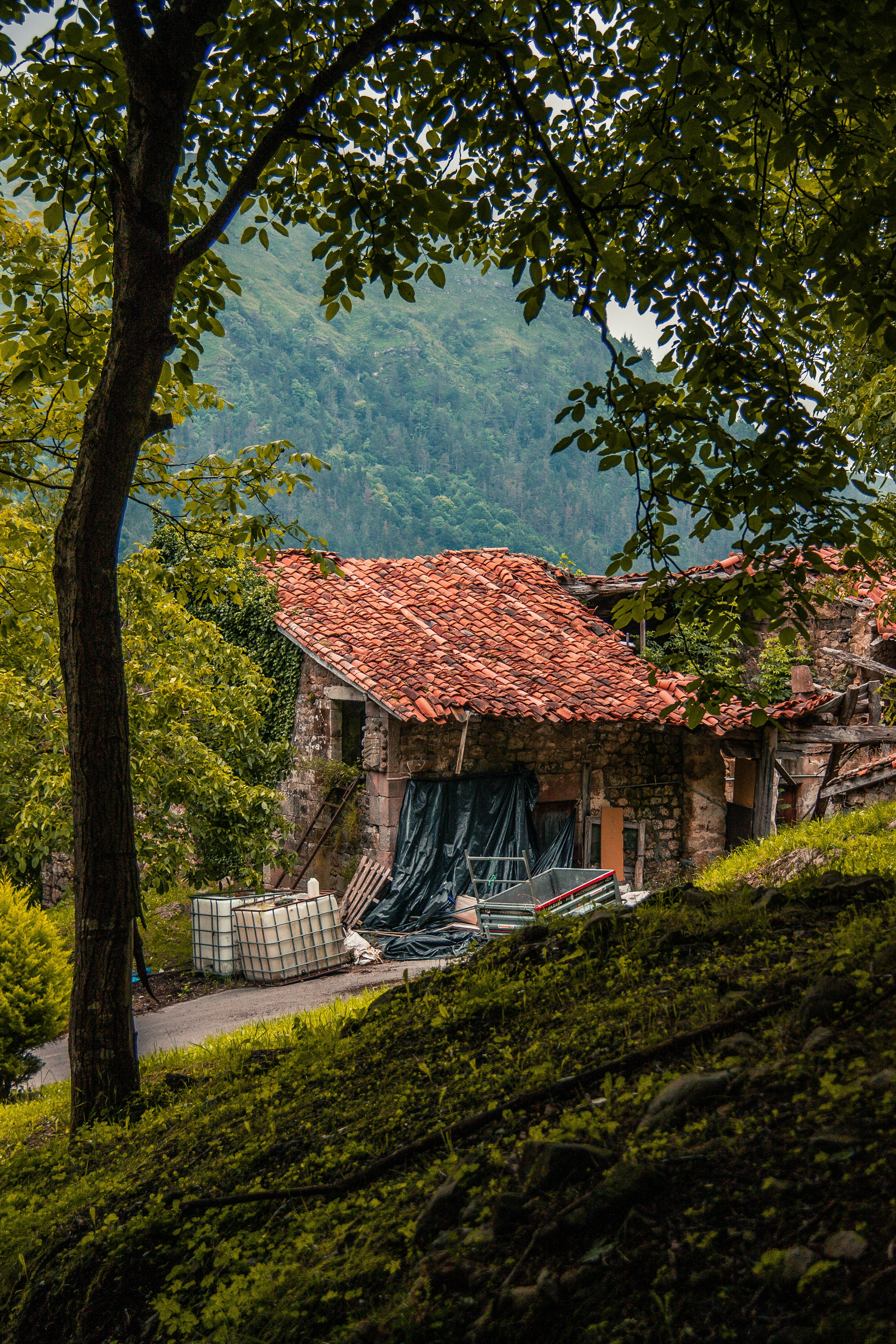 Photo by pablo_saancheezz