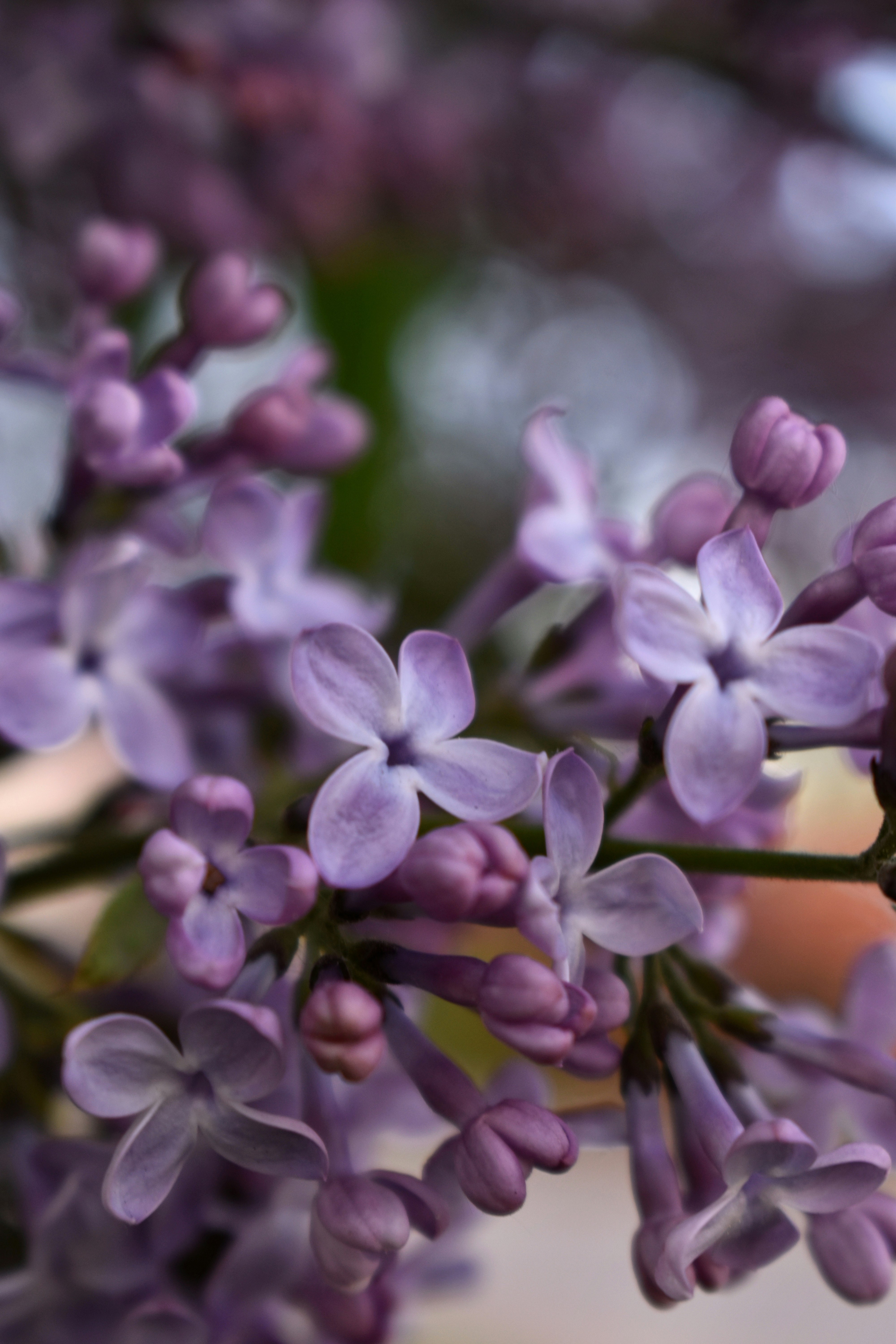 Photo by polina_grishma