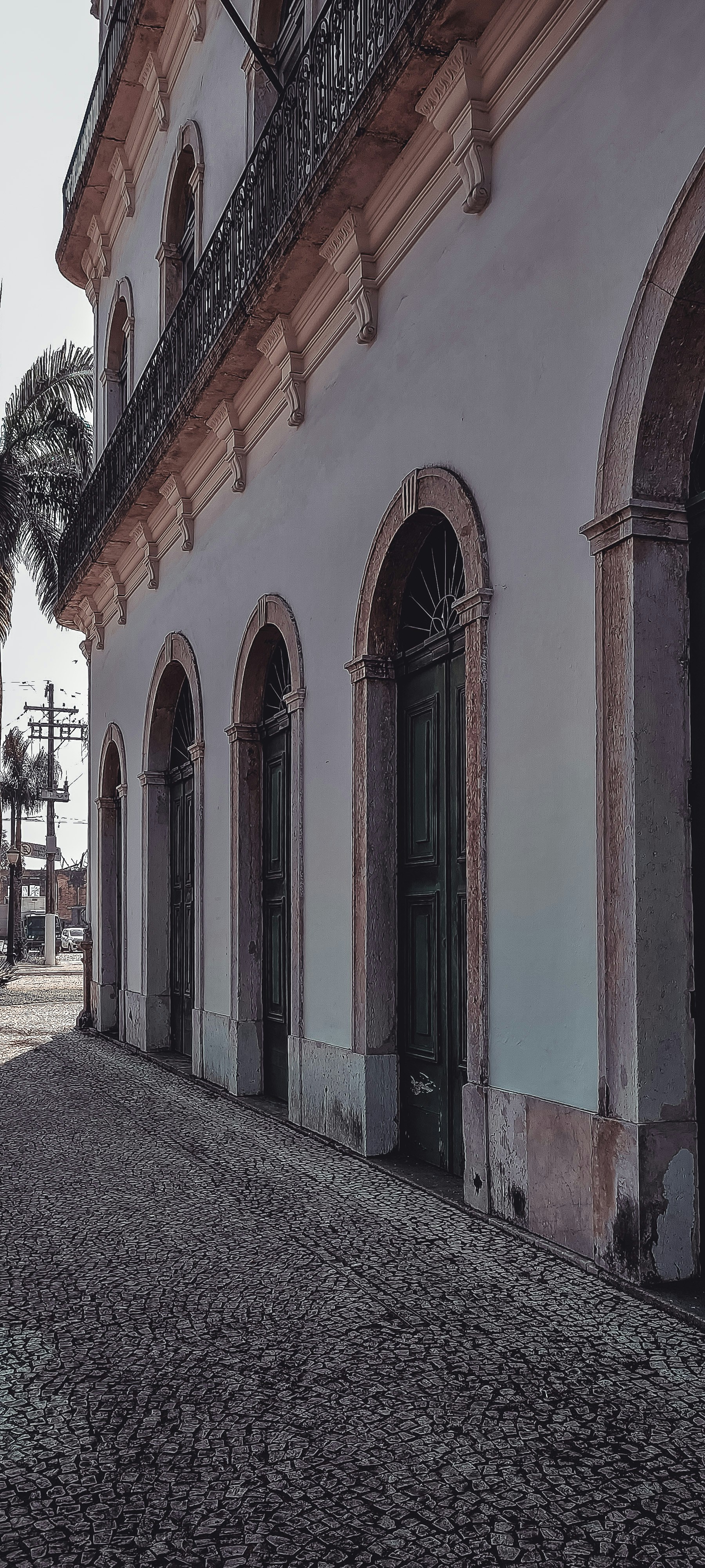 Um edifício antigo com uma palmeira à sua frente