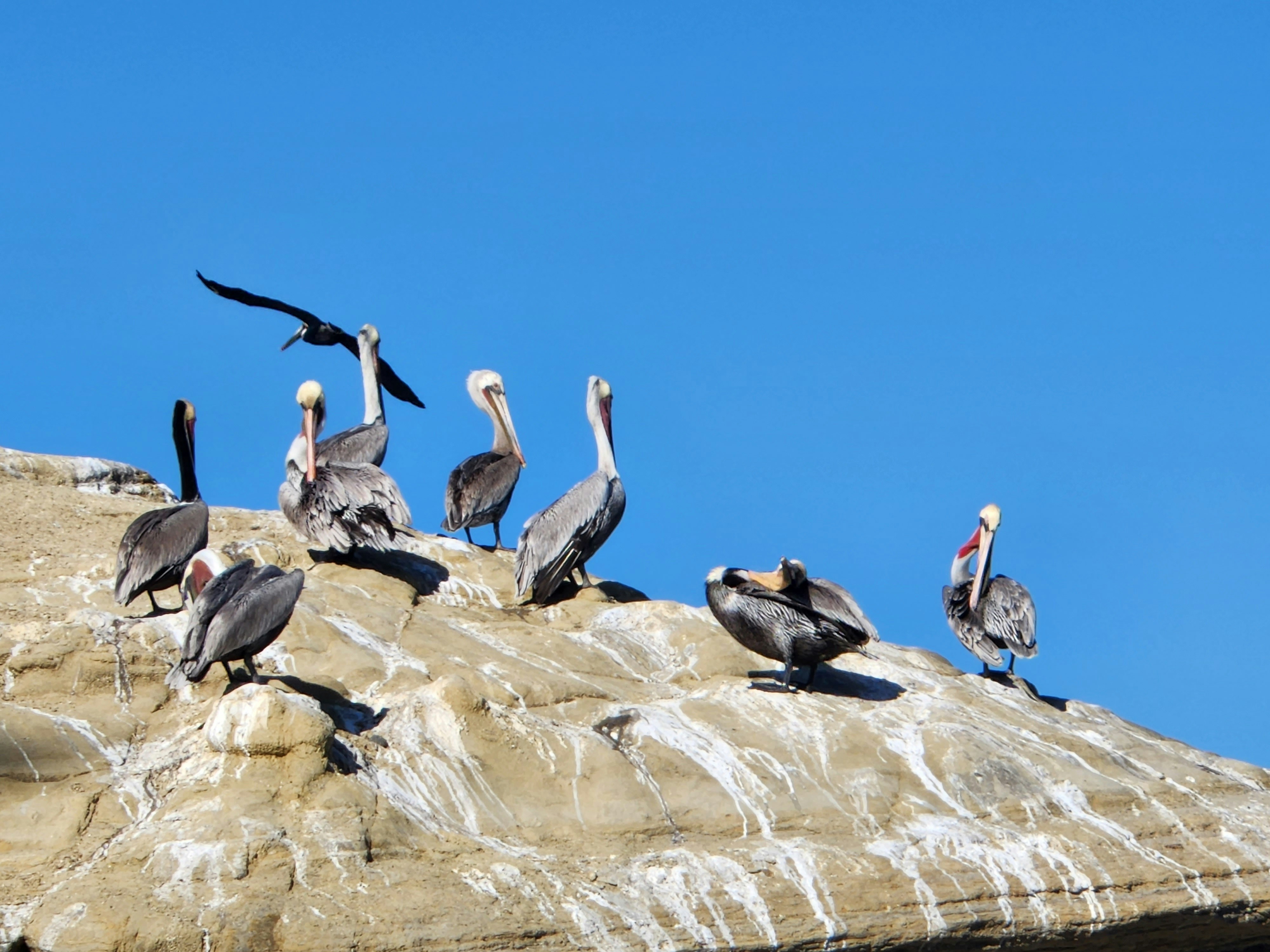 Photo by ketkikinkar