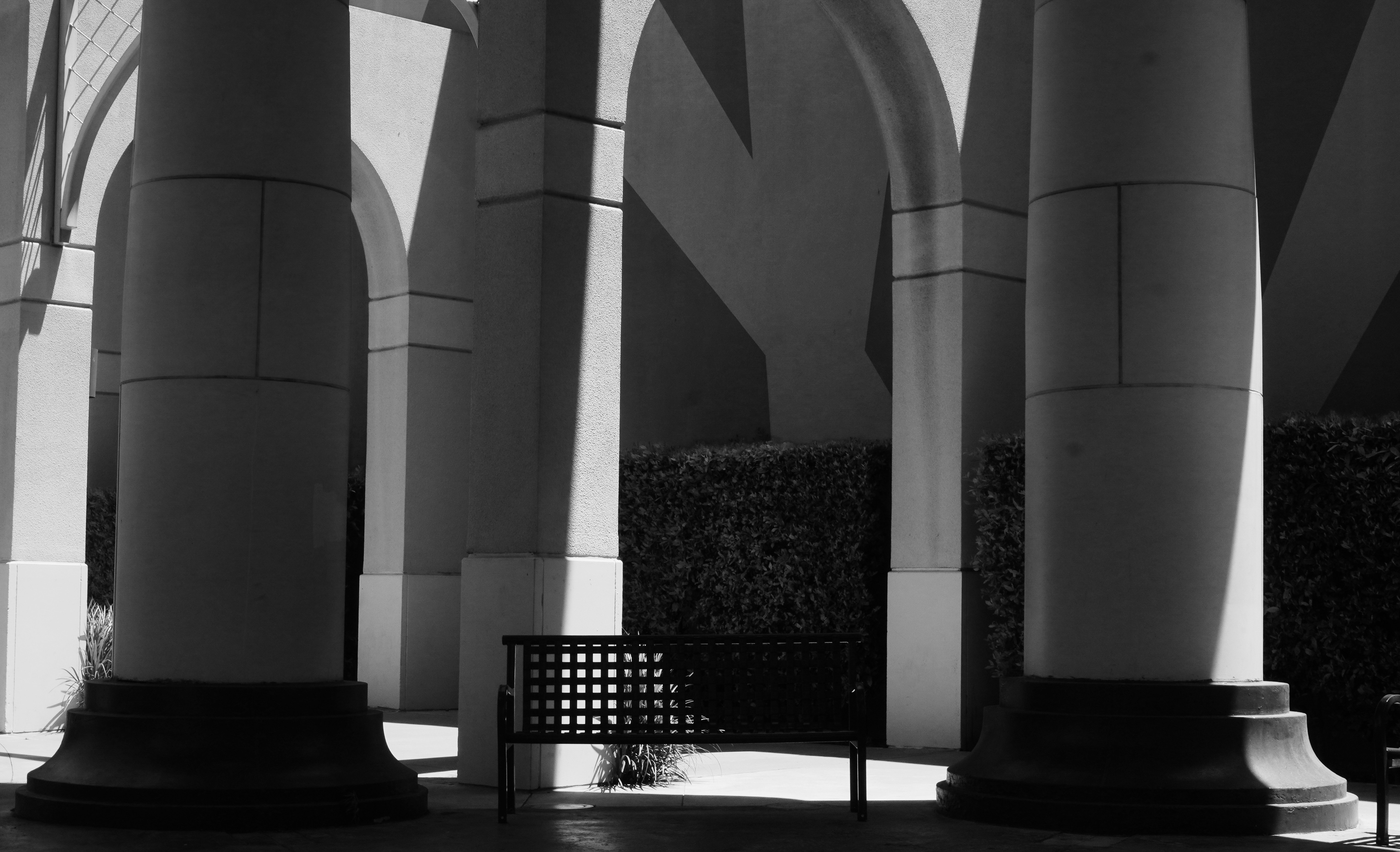 Photo by southcypress