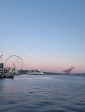 A ferris wheel sitting next to a large body of water