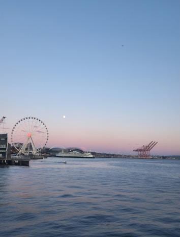 A ferris wheel sitting next to a large body of water