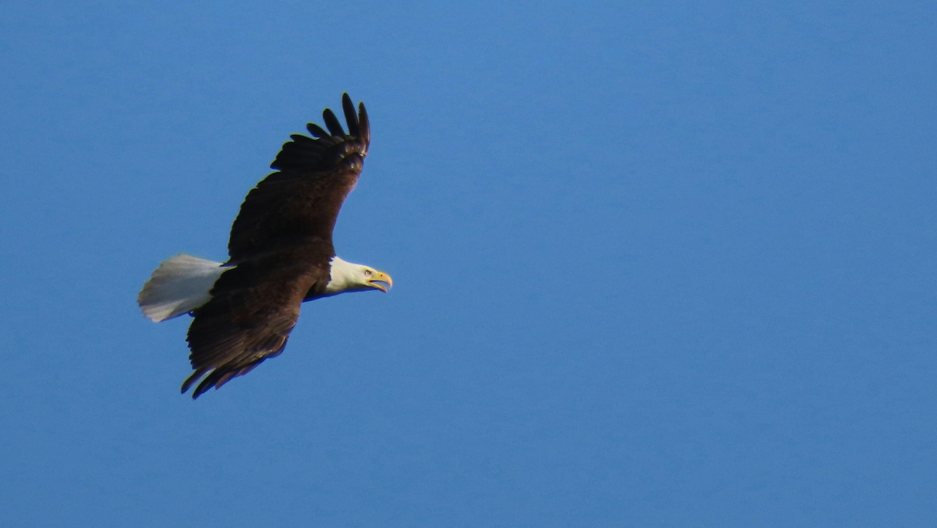 Photo by marchingnapkin