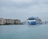 A large cruise ship in the middle of a body of water
