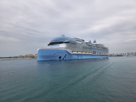 A large cruise ship in the middle of a body of water