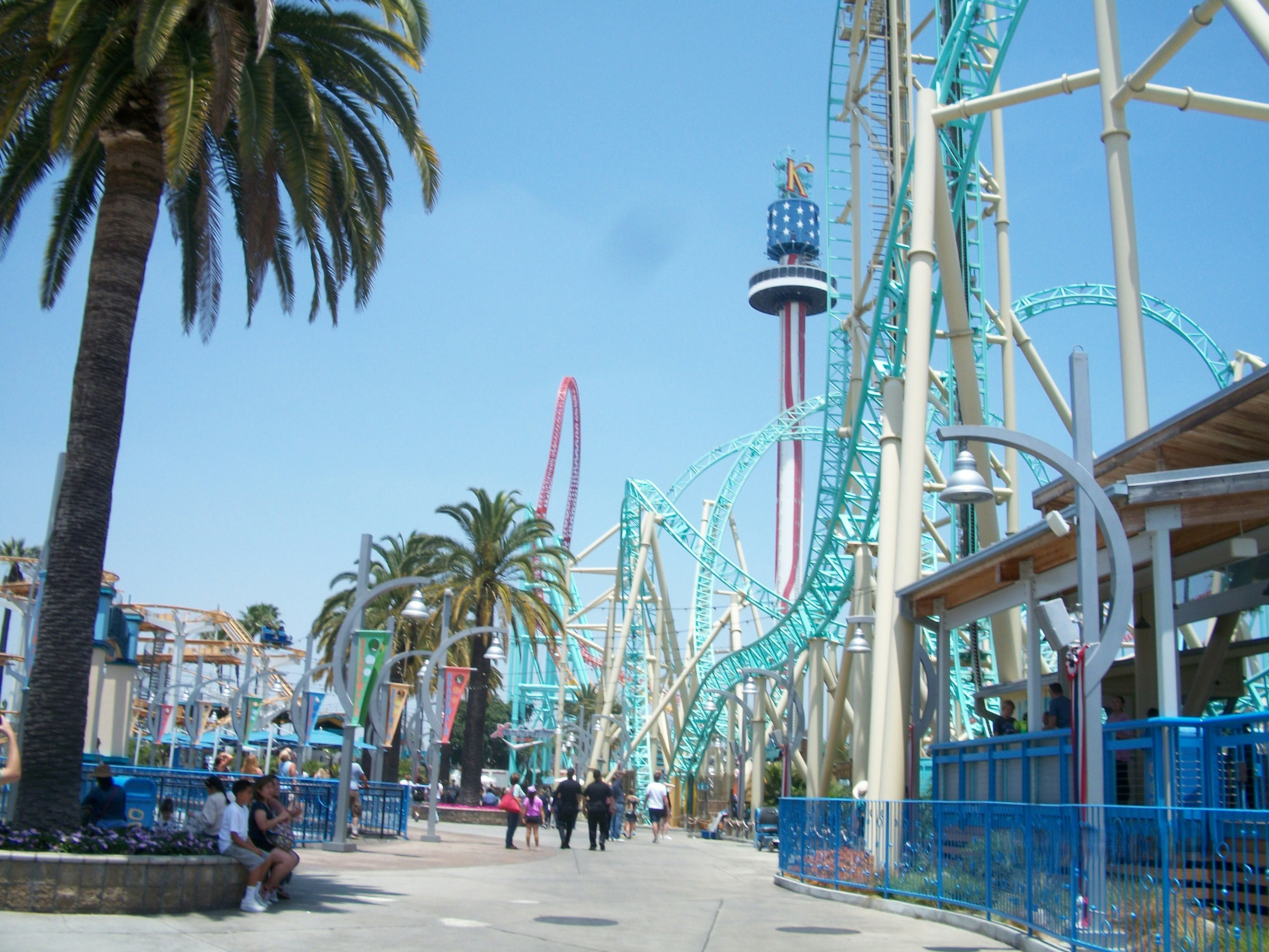 A roller coaster at a theme park with palm trees